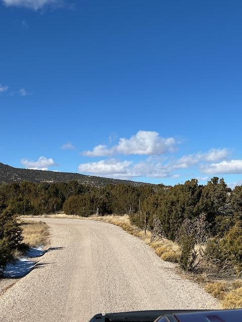 Kings Meadow Road, Sandia Park, New Mexico image 26