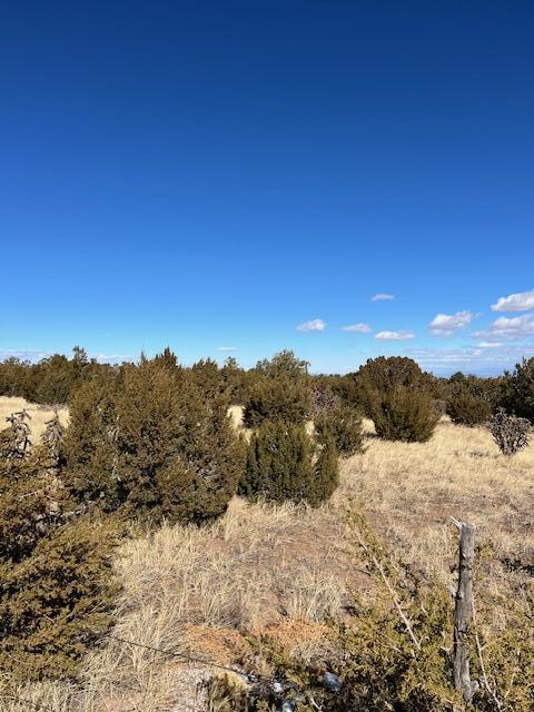 Kings Meadow Road, Sandia Park, New Mexico image 4