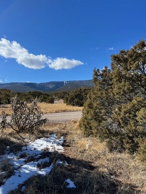 Kings Meadow Road, Sandia Park, New Mexico image 8