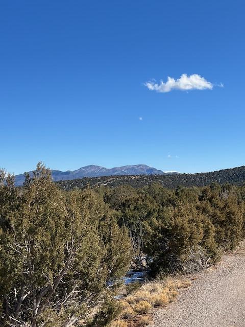 Kings Meadow Road, Sandia Park, New Mexico image 24