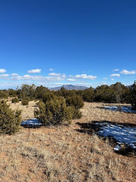 Kings Meadow Road, Sandia Park, New Mexico image 11