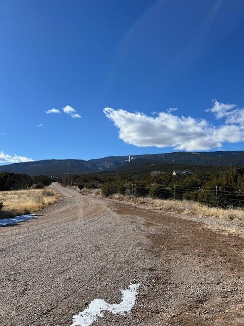 Kings Meadow Road, Sandia Park, New Mexico image 17