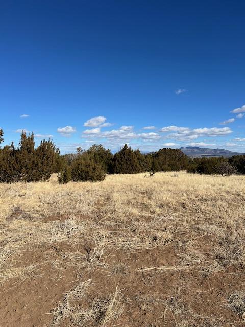 Kings Meadow Road, Sandia Park, New Mexico image 1