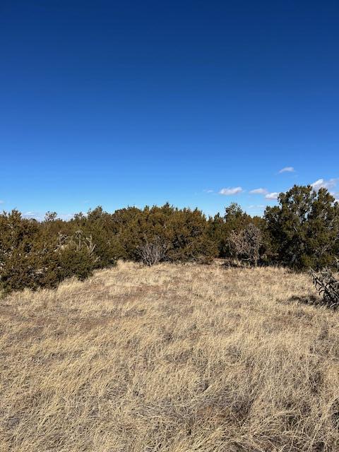Kings Meadow Road, Sandia Park, New Mexico image 7