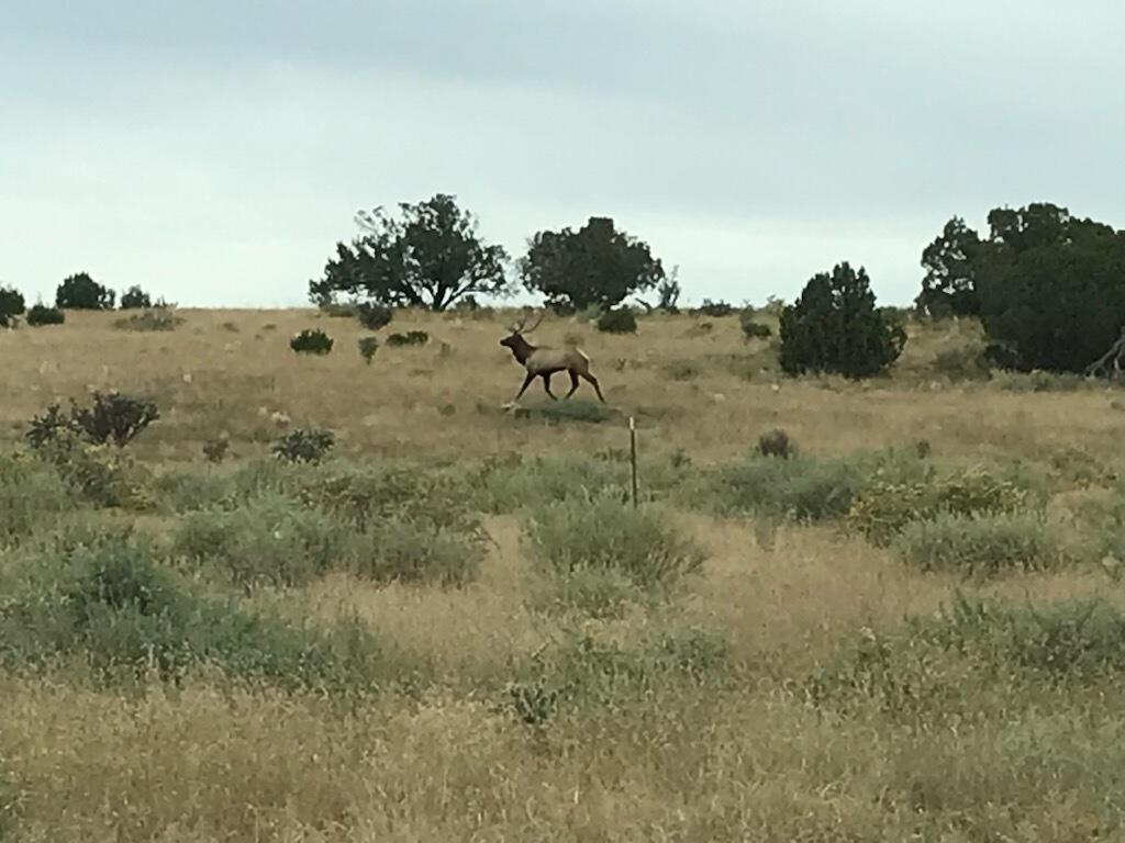 69 Round Top Rd, Mountainair, New Mexico image 42