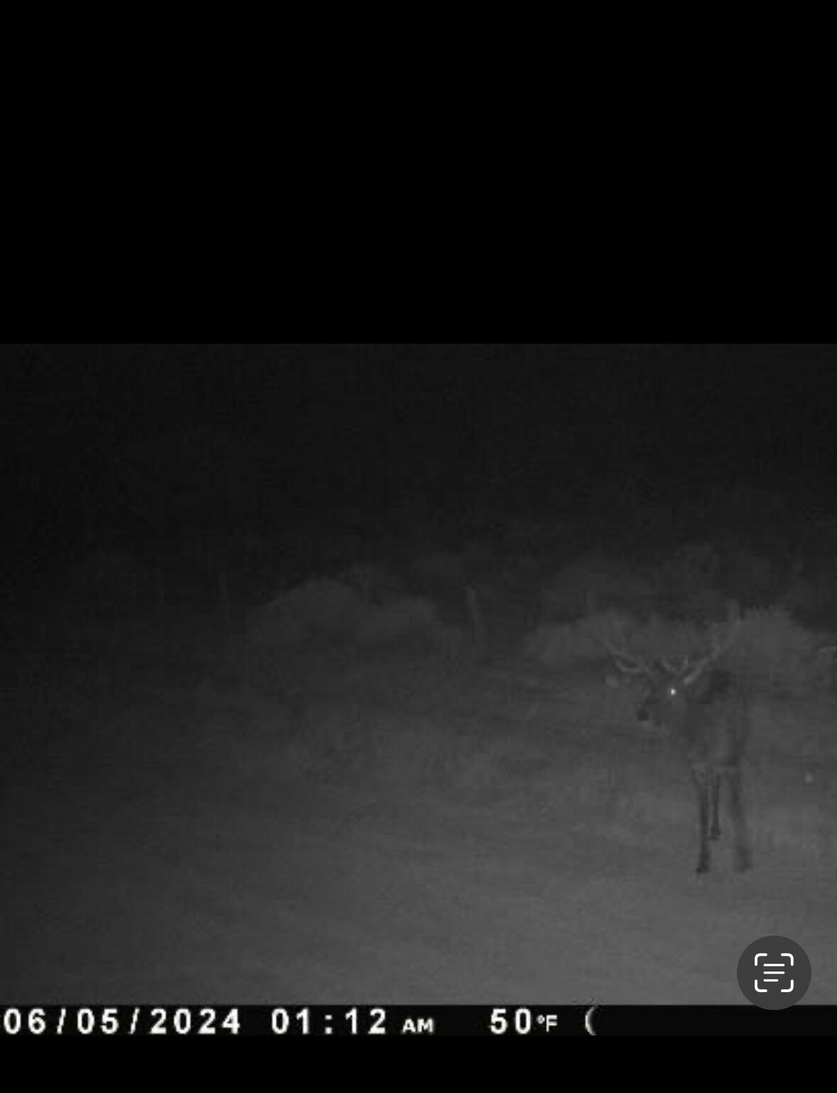 69 Round Top Rd, Mountainair, New Mexico image 41