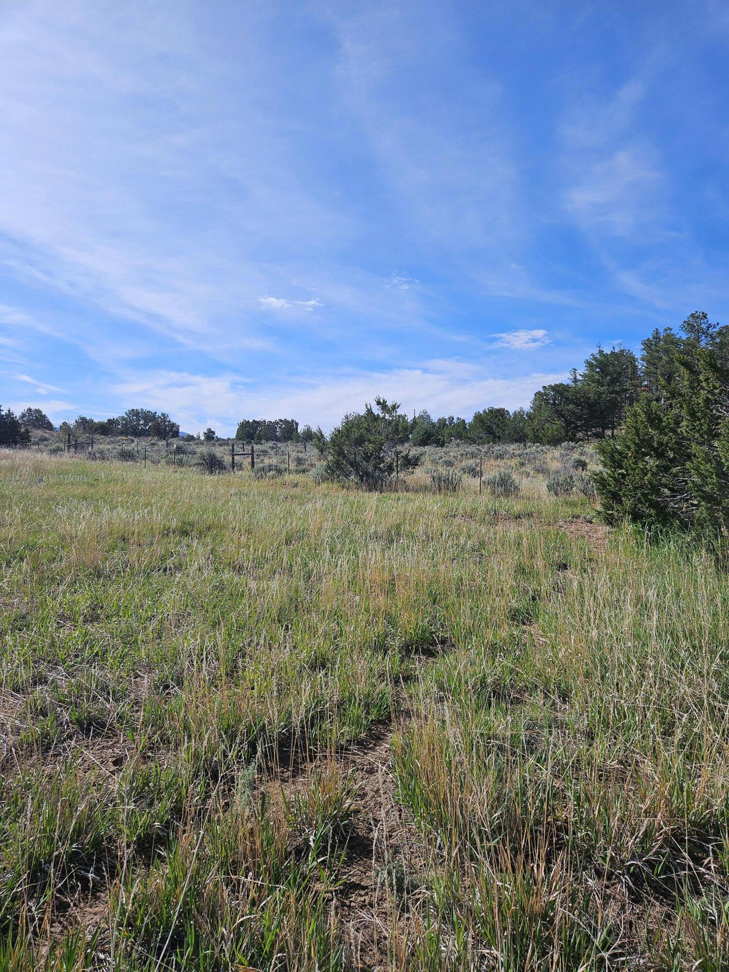 Tbd Cuba Avenue, Cuba, New Mexico image 7