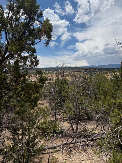 Vacant Land For Sale - County Line Road<br/> Santa Fe County, Edgewood, NM 87015