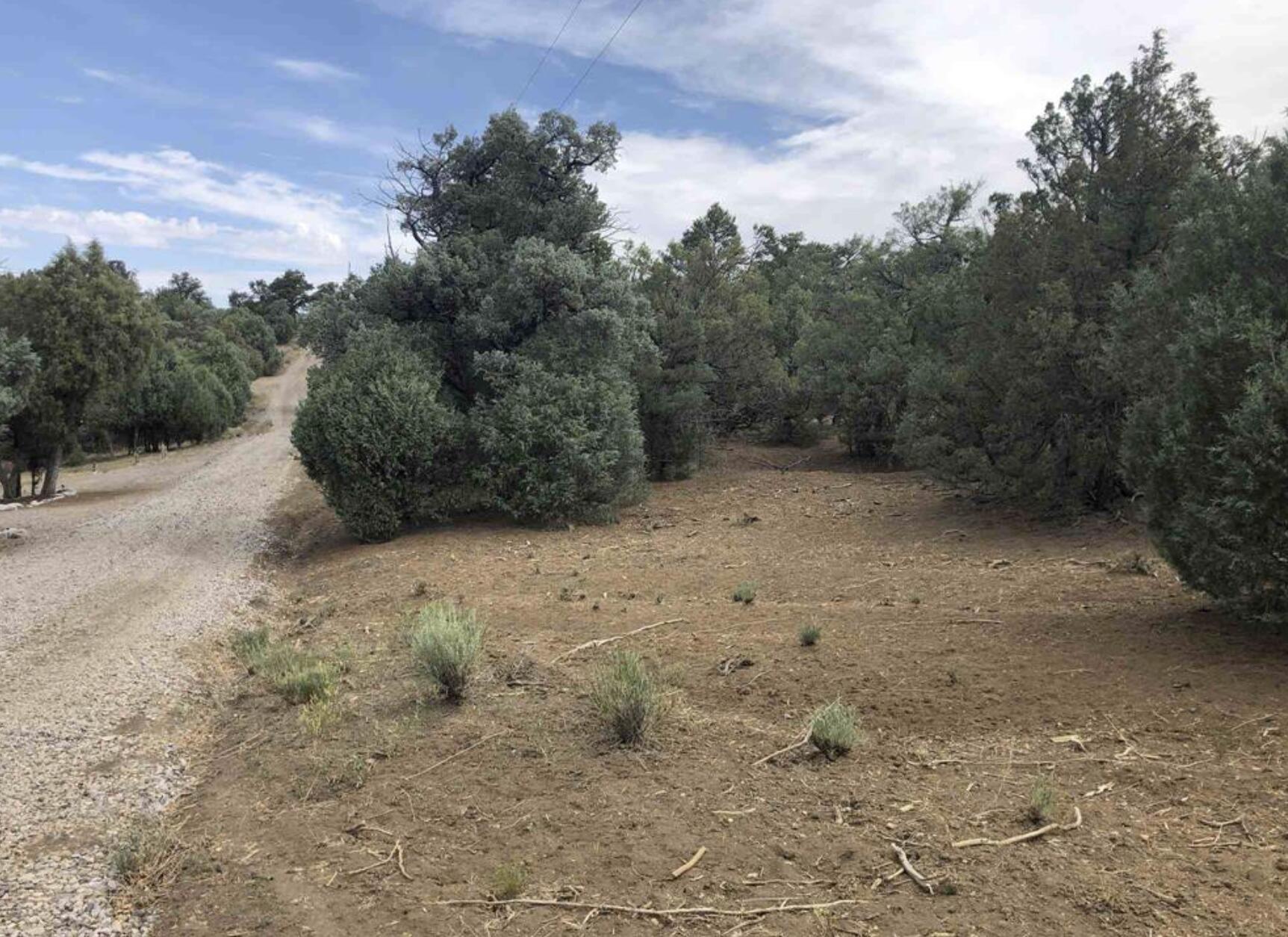 S Leaning Lot A, Tierra Amarilla, New Mexico image 3