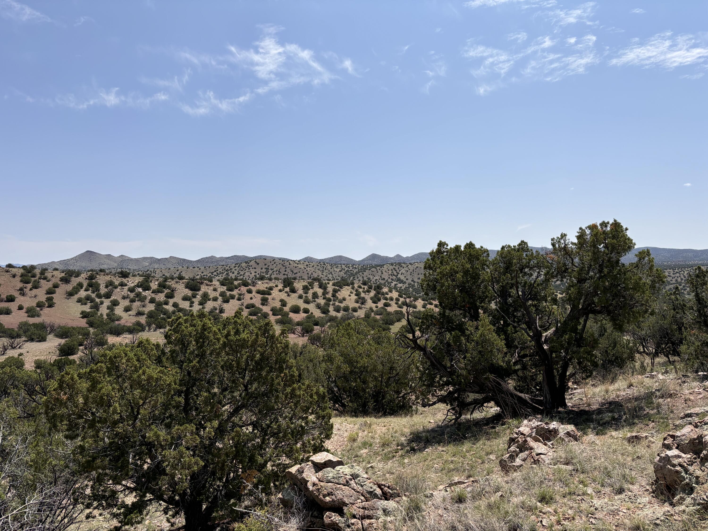 Lot 13 Abbe Springs Ranches, Magdalena, New Mexico image 5