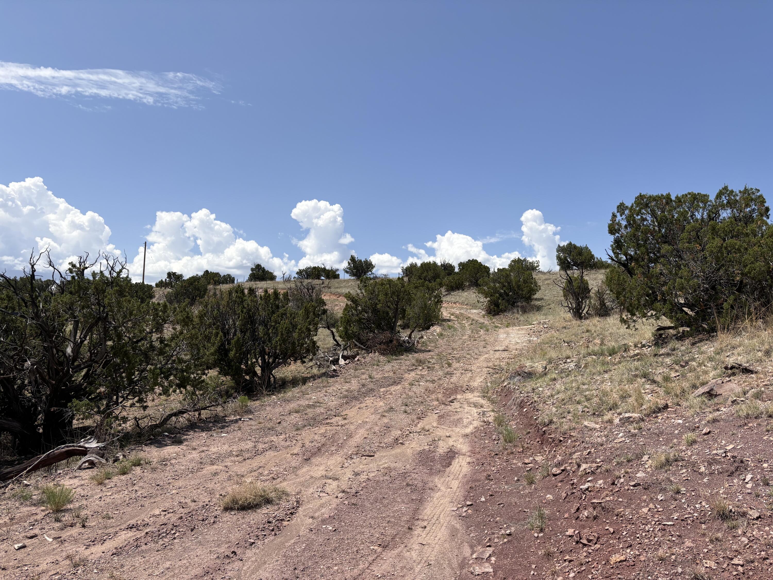 Lot 13 Abbe Springs Ranches, Magdalena, New Mexico image 15