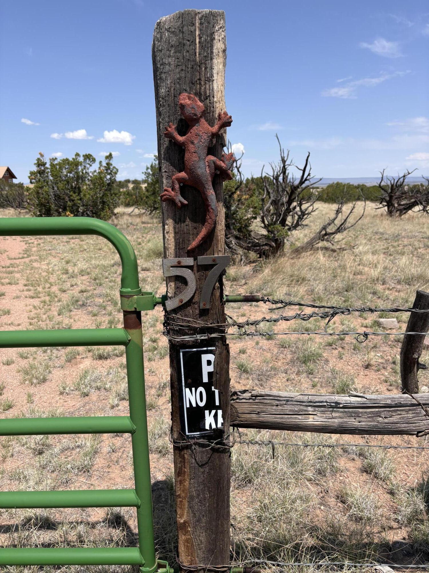 Lot 13 Abbe Springs Ranches, Magdalena, New Mexico image 31