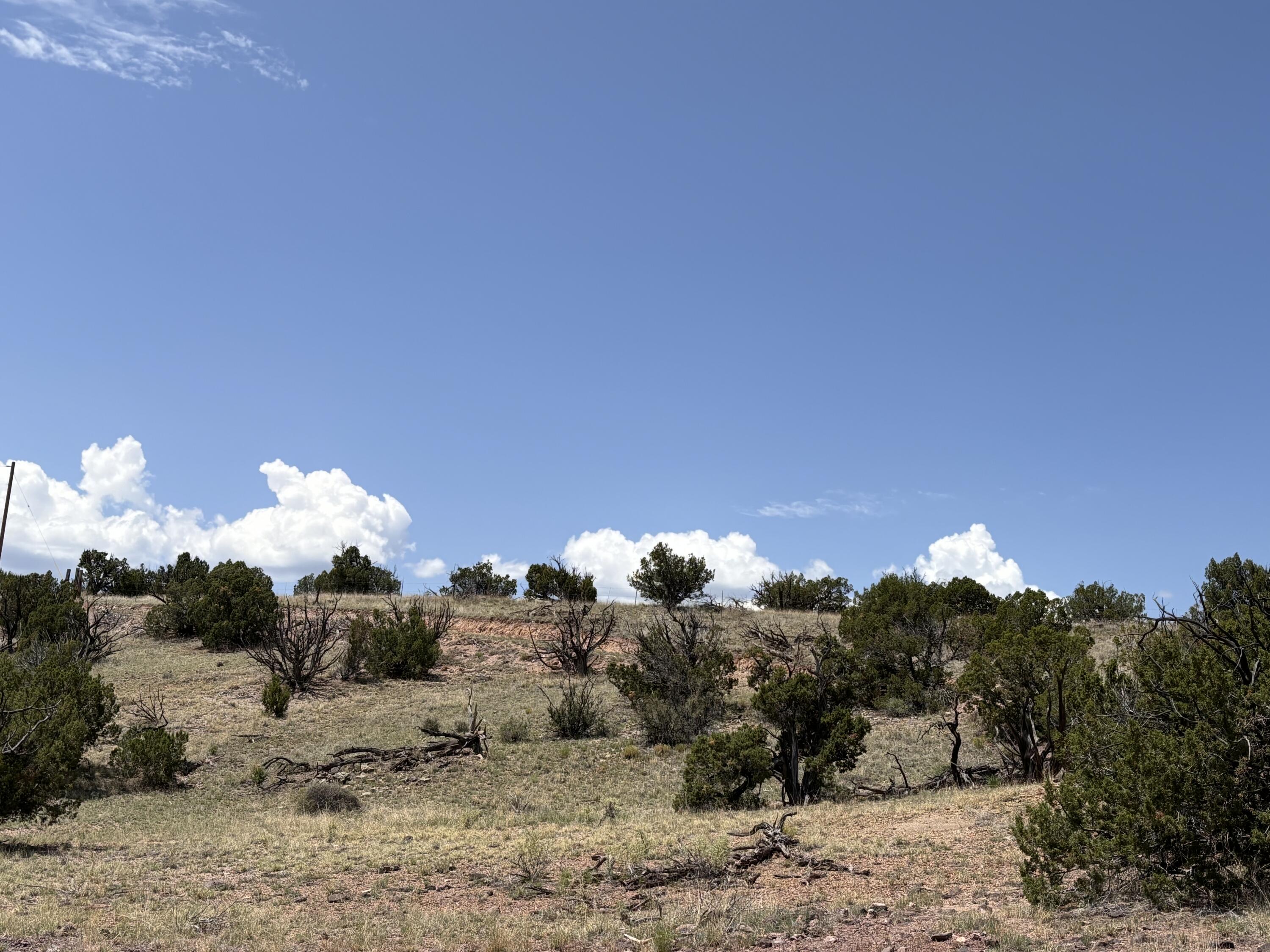 Lot 13 Abbe Springs Ranches, Magdalena, New Mexico image 3