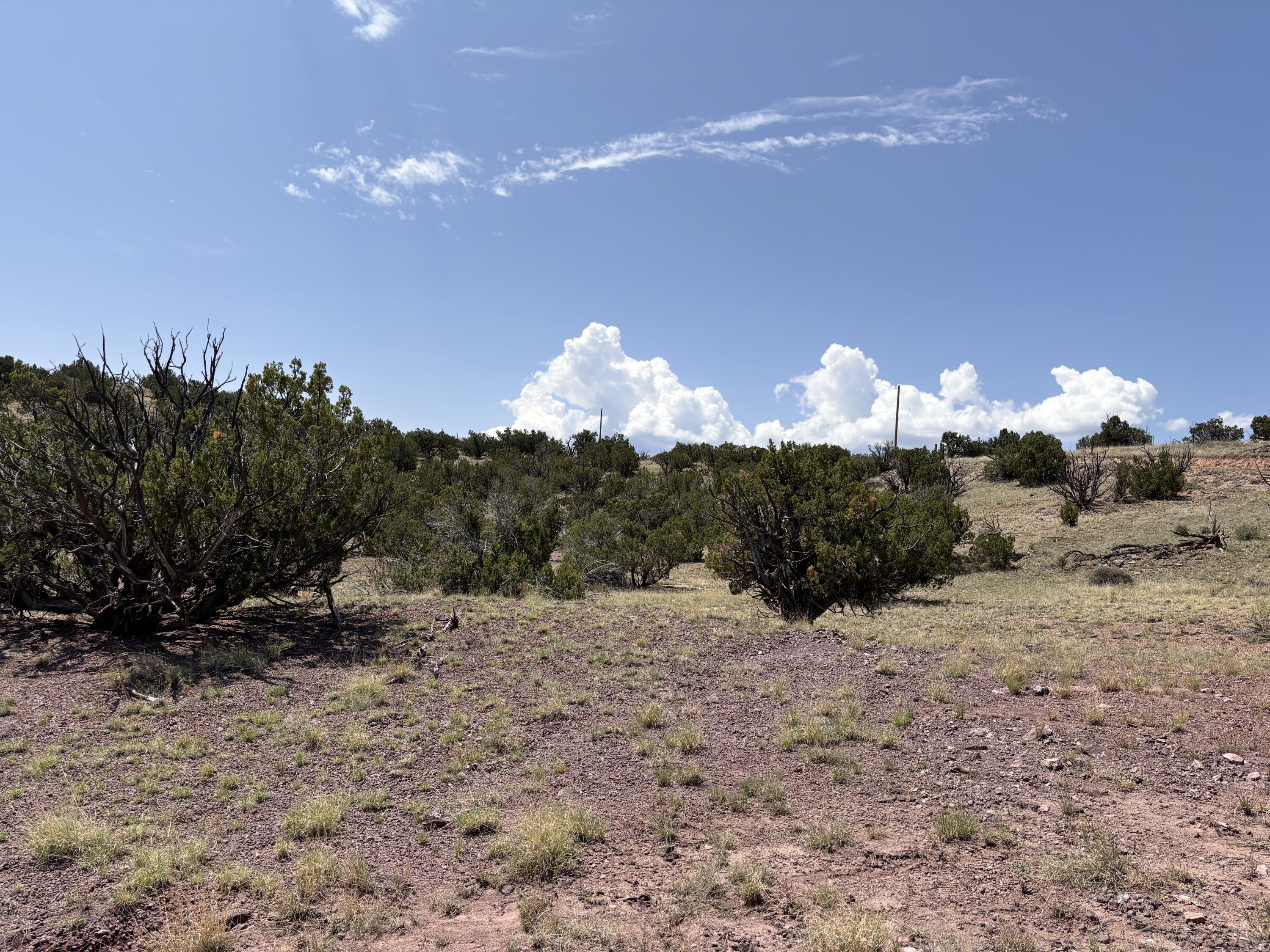 Lot 13 Abbe Springs Ranches, Magdalena, New Mexico image 26