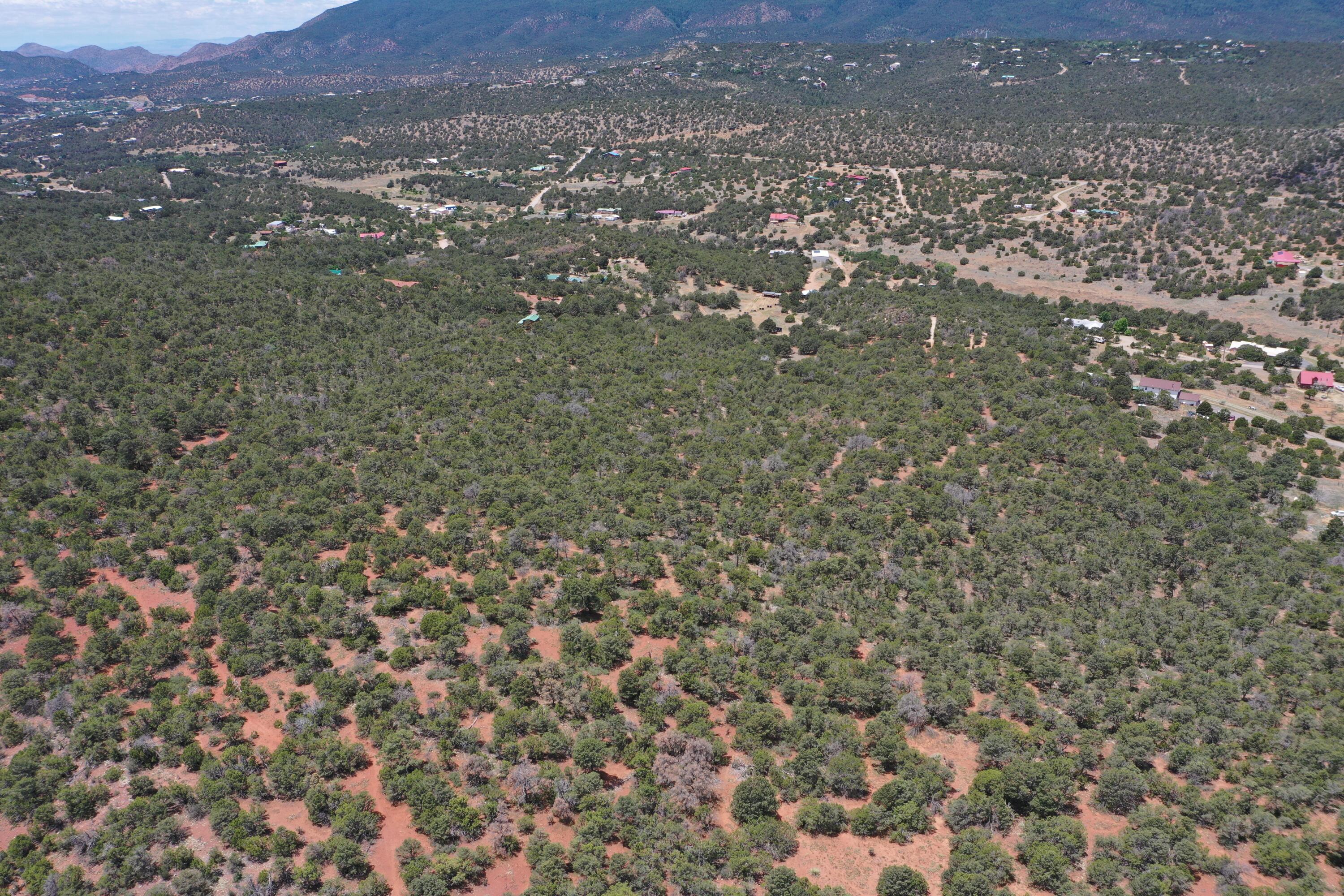 Five Acres Tijeras, Tijeras, New Mexico image 8