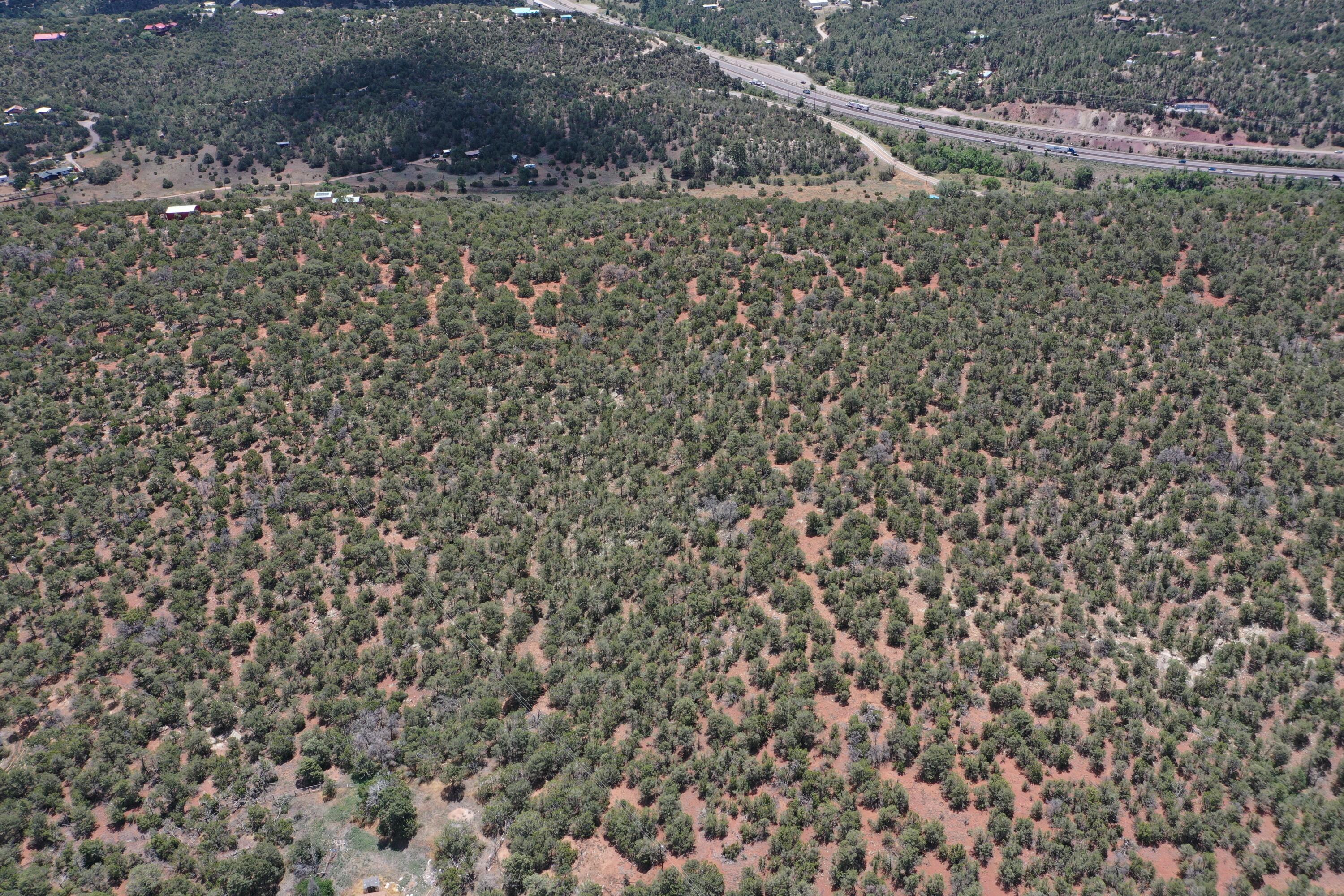 Five Acres Tijeras, Tijeras, New Mexico image 6