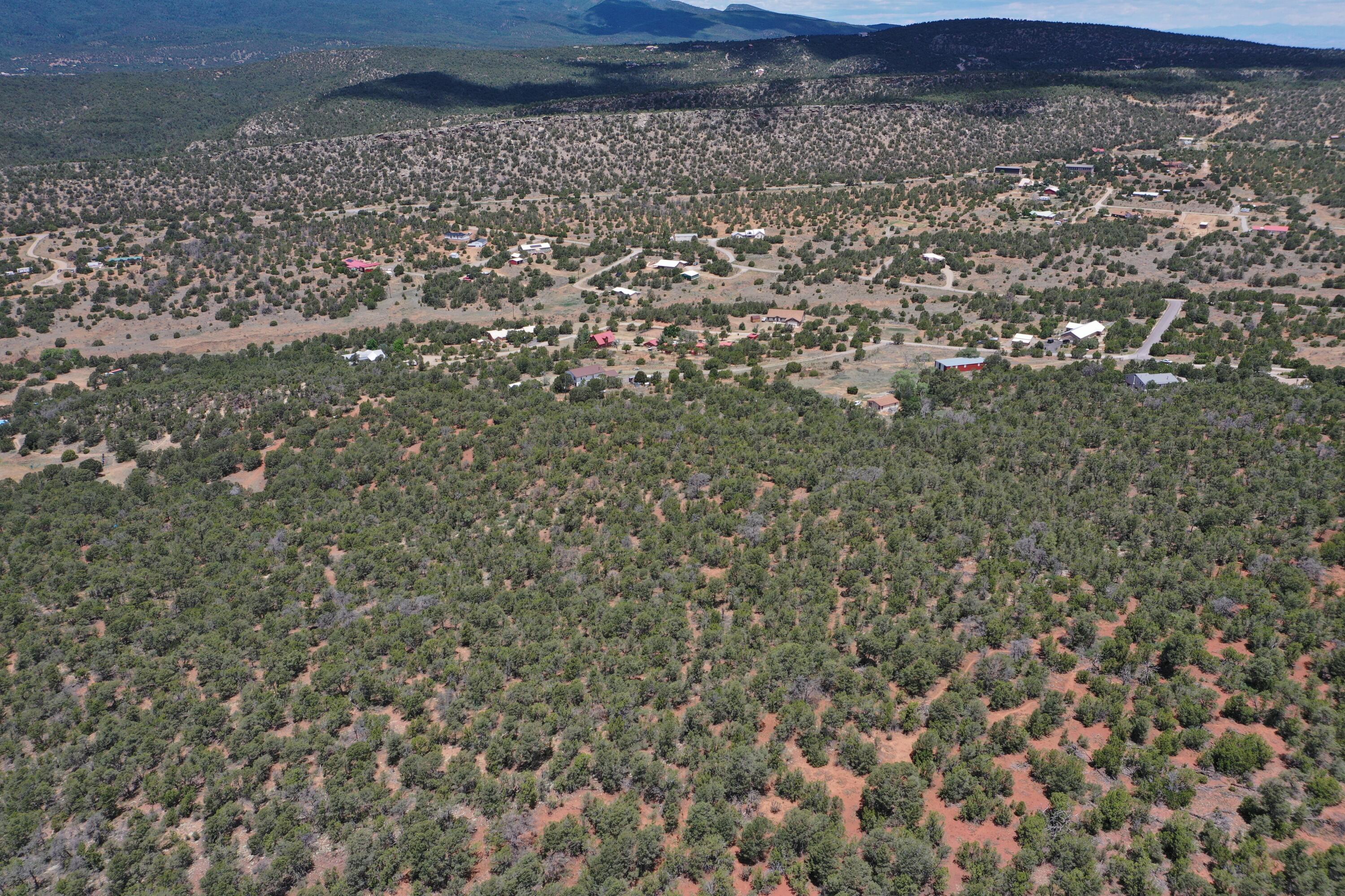 Five Acres Tijeras, Tijeras, New Mexico image 10