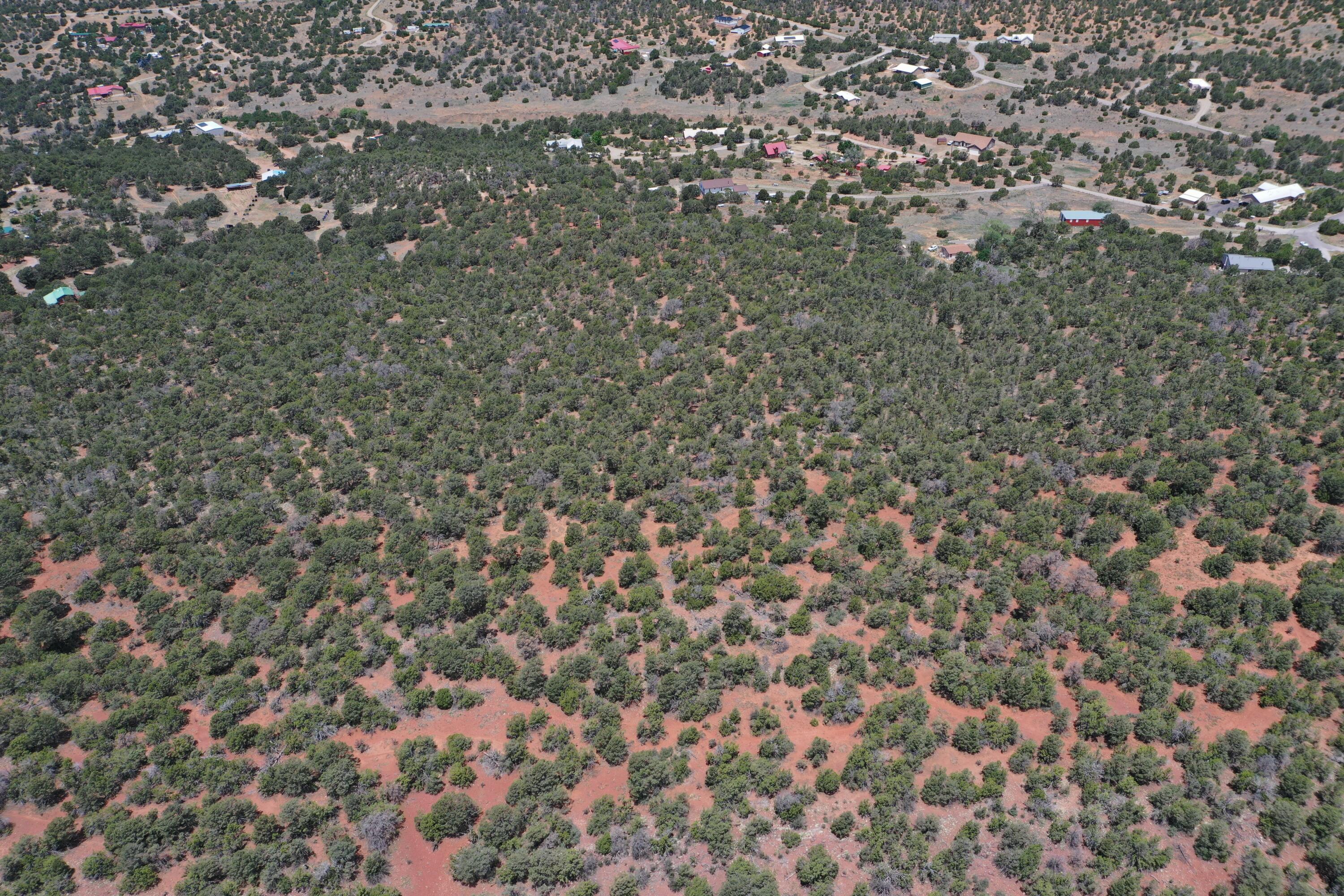 Five Acres Tijeras, Tijeras, New Mexico image 7