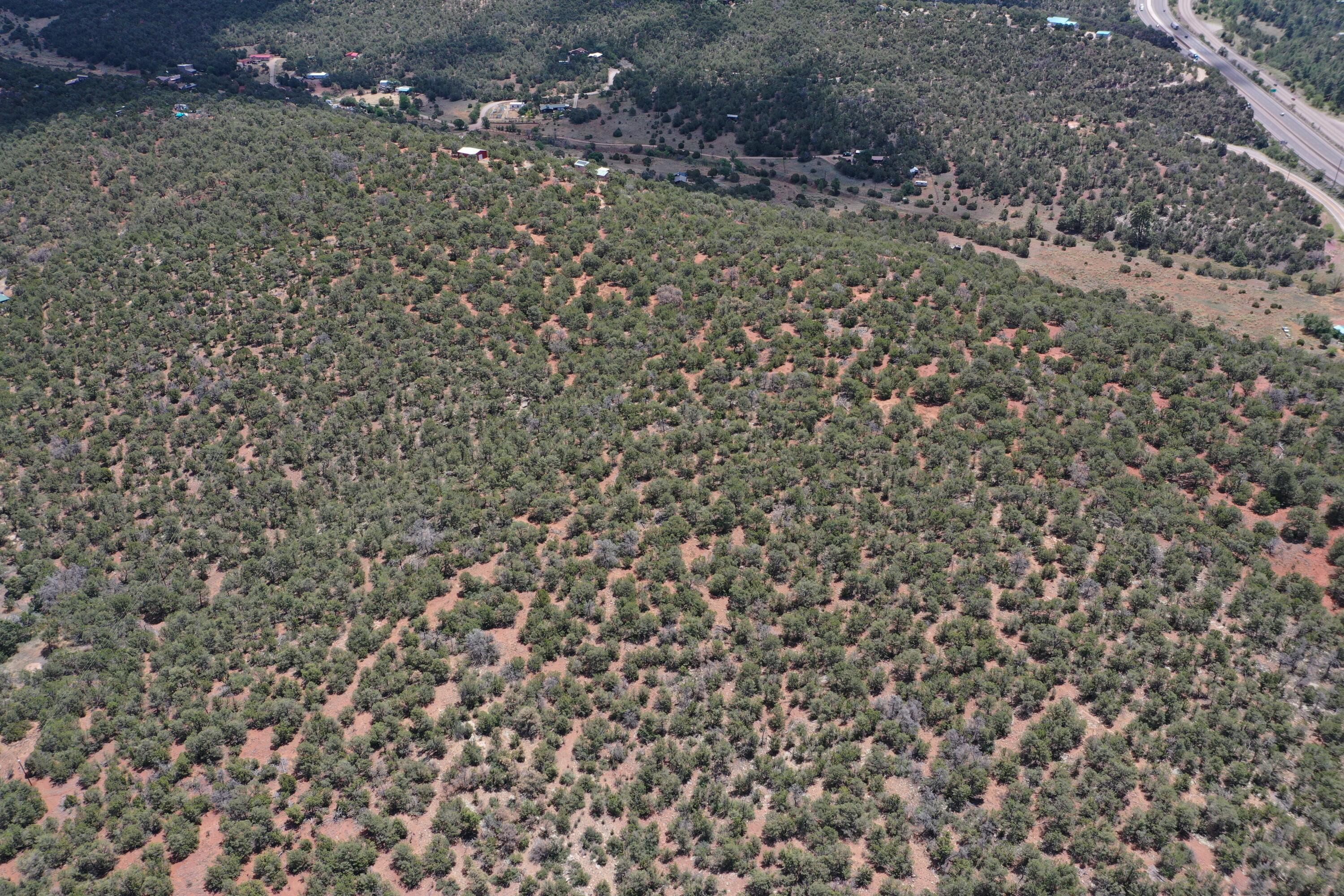 Five Acres Tijeras, Tijeras, New Mexico image 5