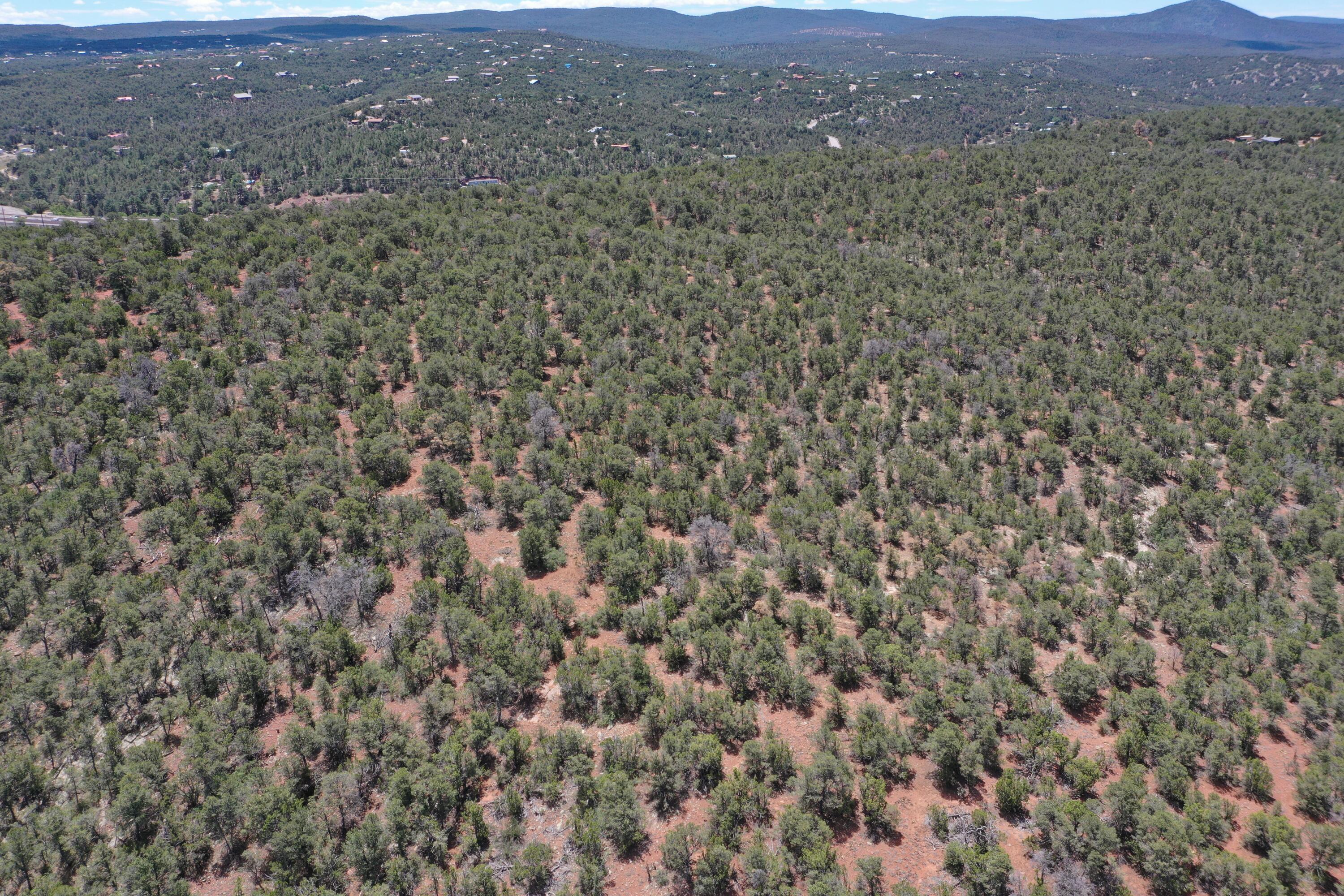 Five Acres Tijeras, Tijeras, New Mexico image 9