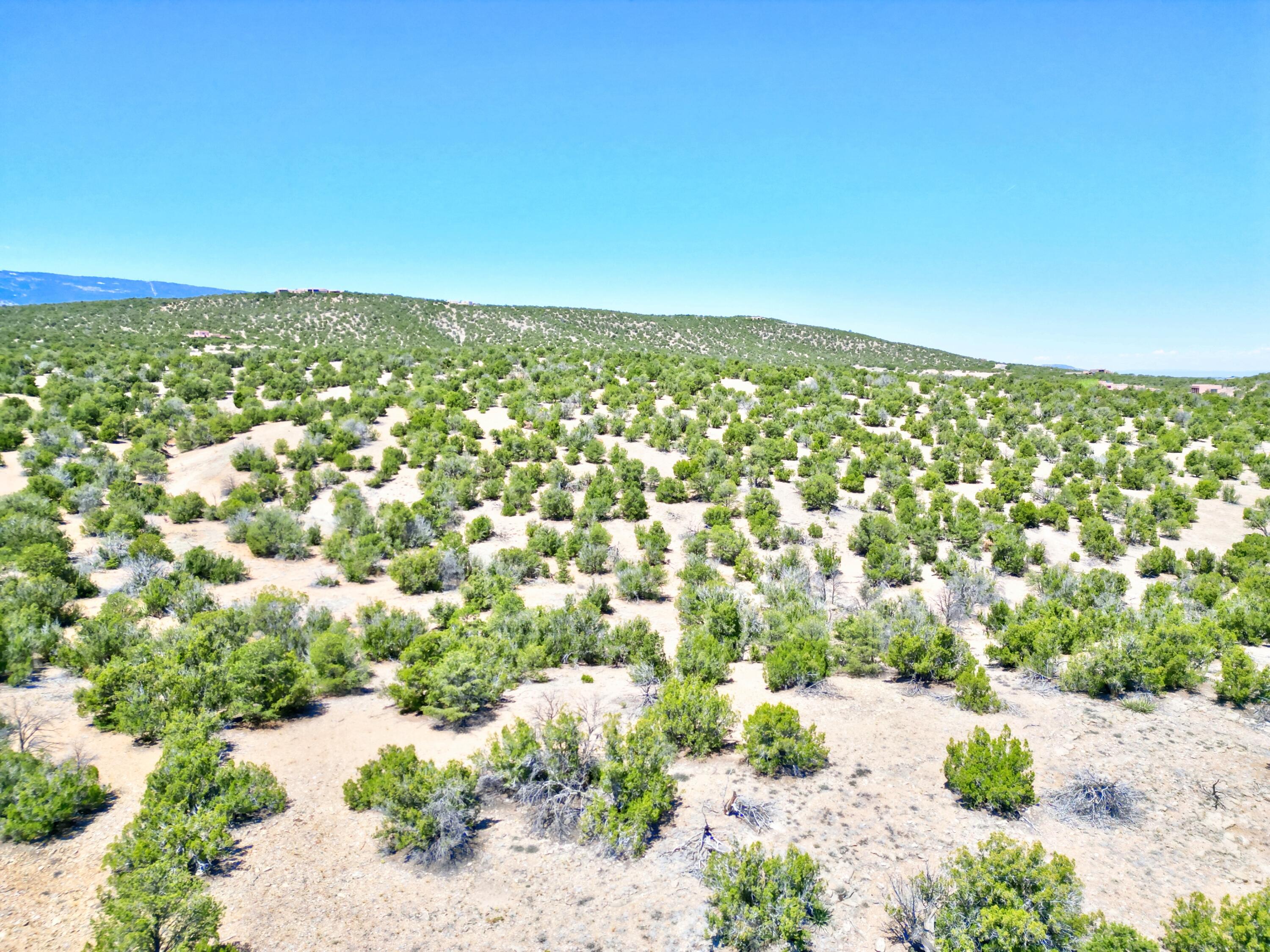 Lot 79 San Pedro Creek Estates, Sandia Park, New Mexico image 6