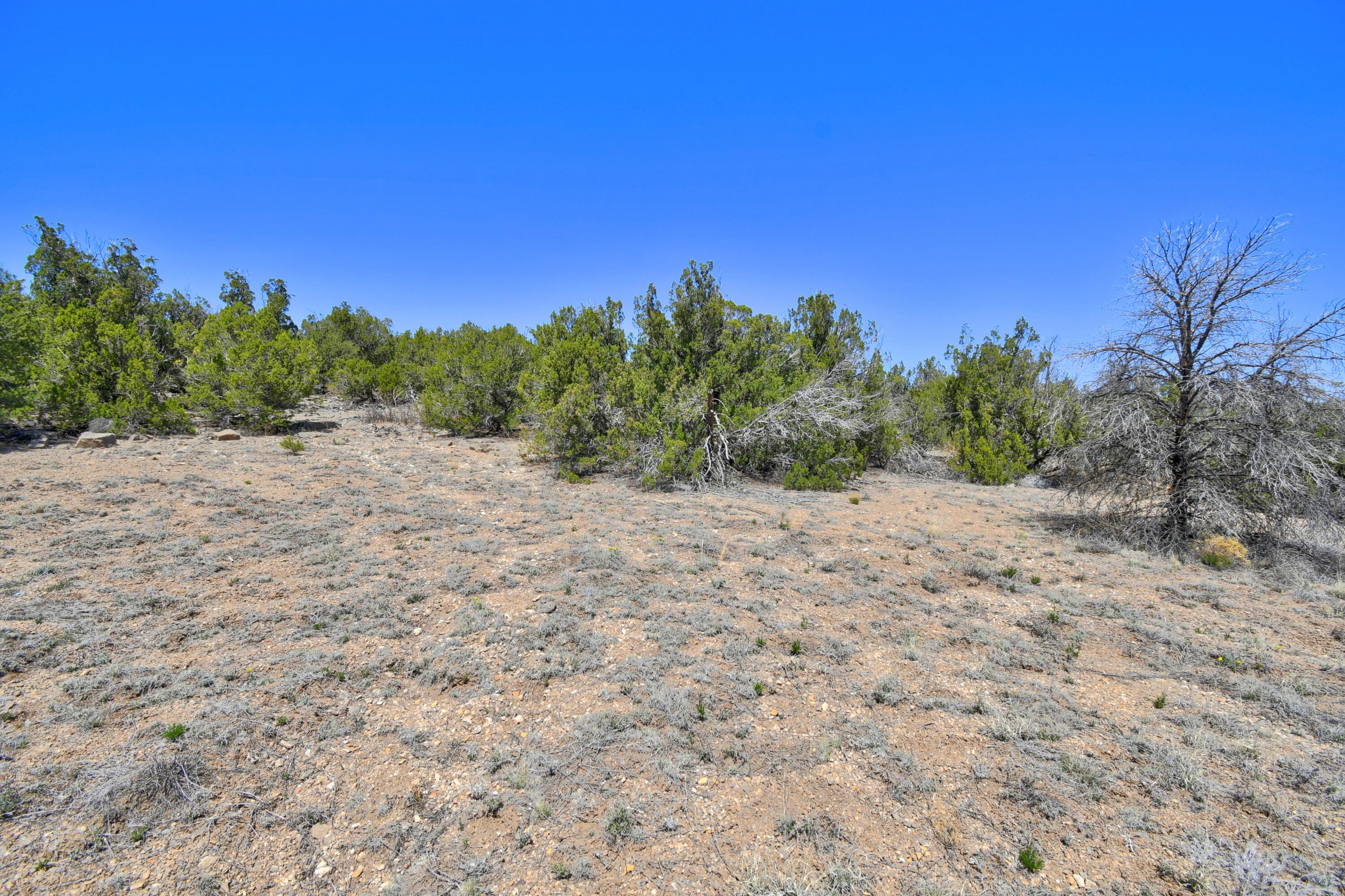 Lot 79 San Pedro Creek Estates, Sandia Park, New Mexico image 18