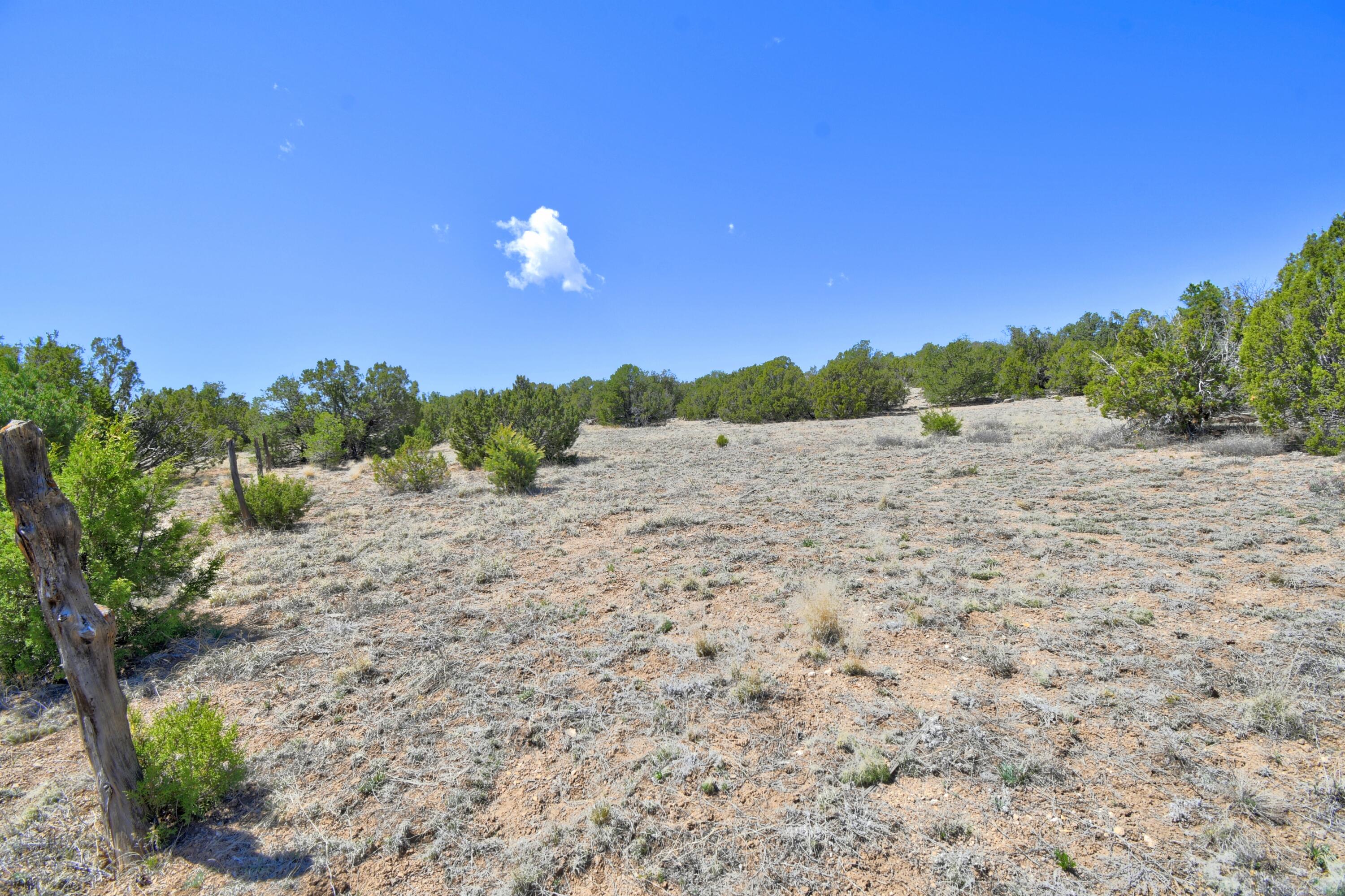 Lot 79 San Pedro Creek Estates, Sandia Park, New Mexico image 15