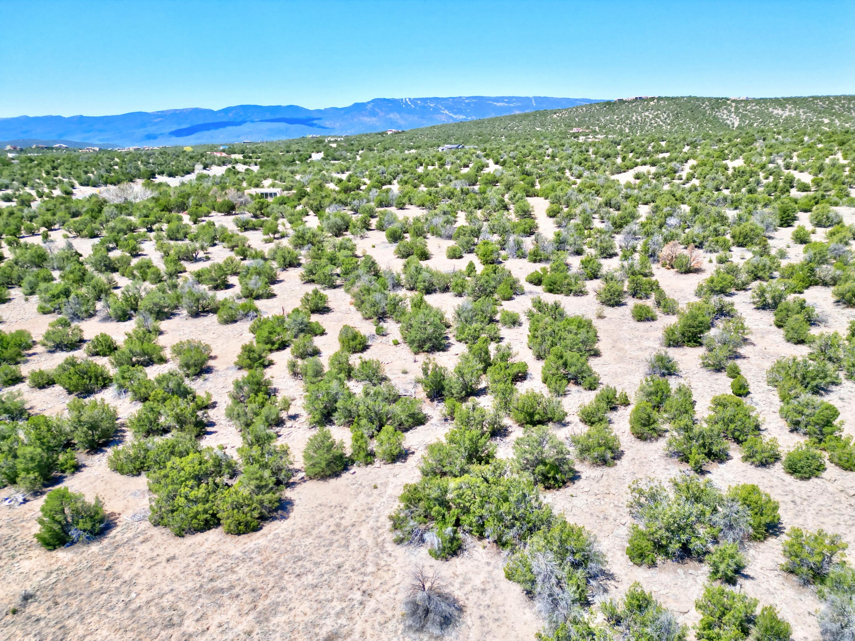 Lot 79 San Pedro Creek Estates, Sandia Park, New Mexico image 3