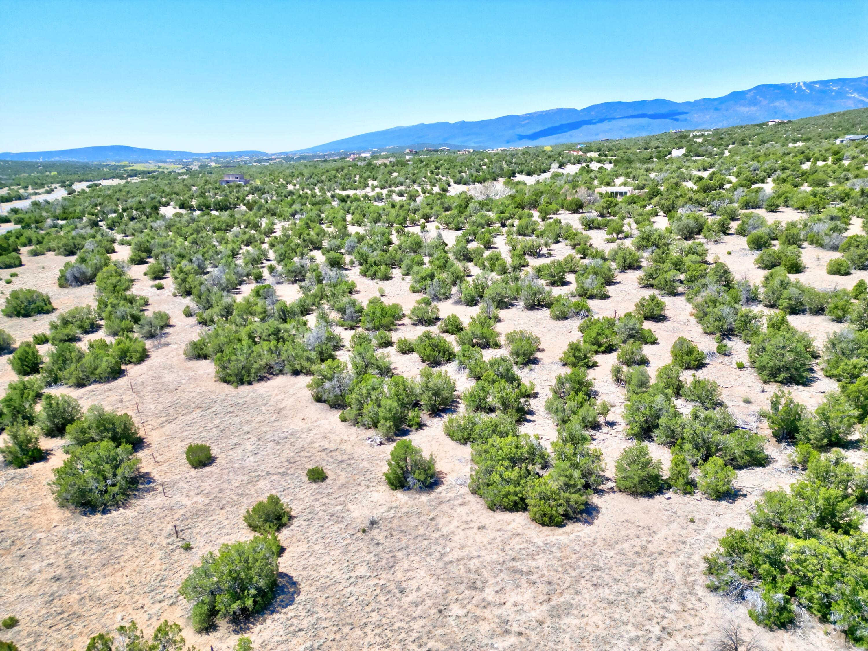 Lot 79 San Pedro Creek Estates, Sandia Park, New Mexico image 4