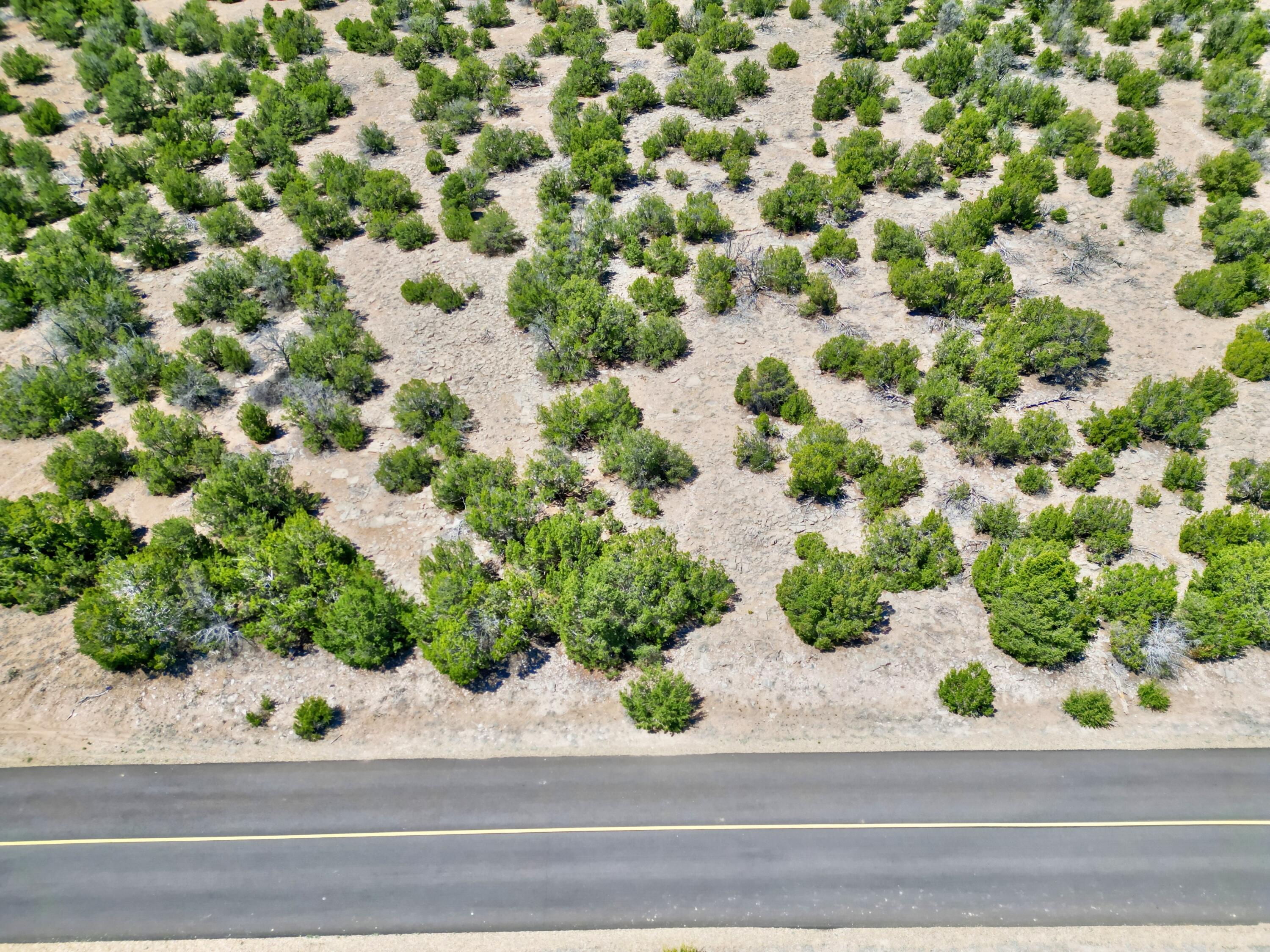 Lot 79 San Pedro Creek Estates, Sandia Park, New Mexico image 12