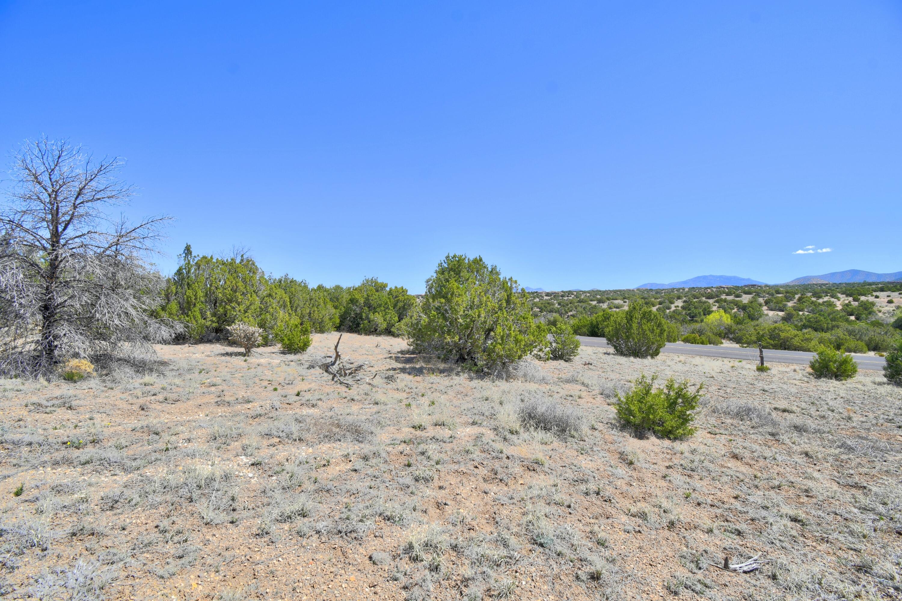 Lot 79 San Pedro Creek Estates, Sandia Park, New Mexico image 19