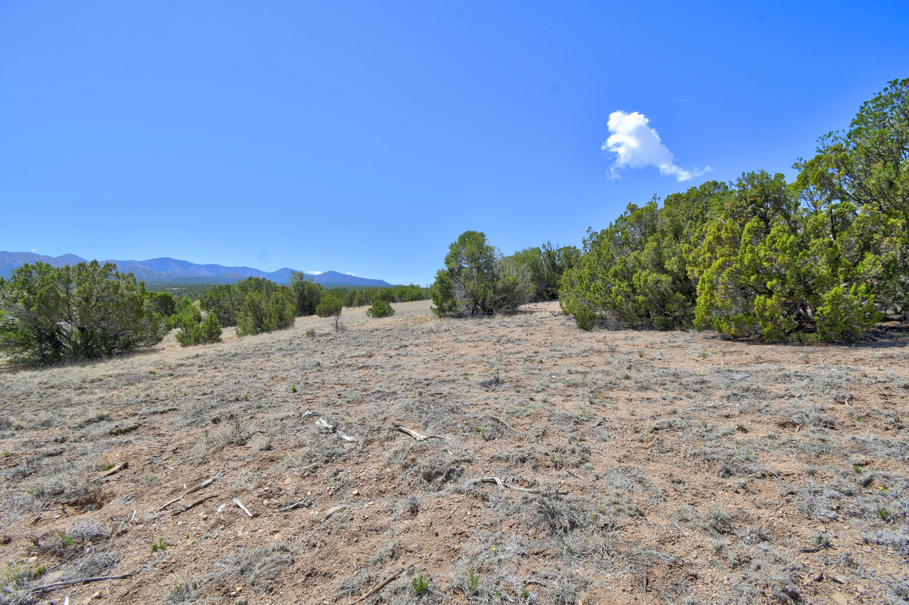 Lot 79 San Pedro Creek Estates, Sandia Park, New Mexico image 16