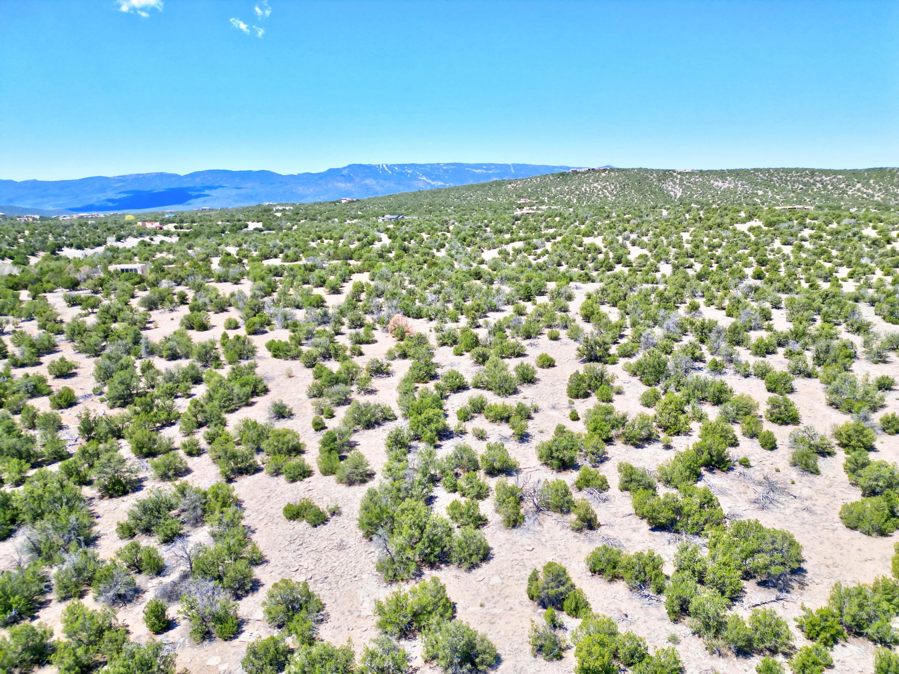 Lot 79 San Pedro Creek Estates, Sandia Park, New Mexico image 13