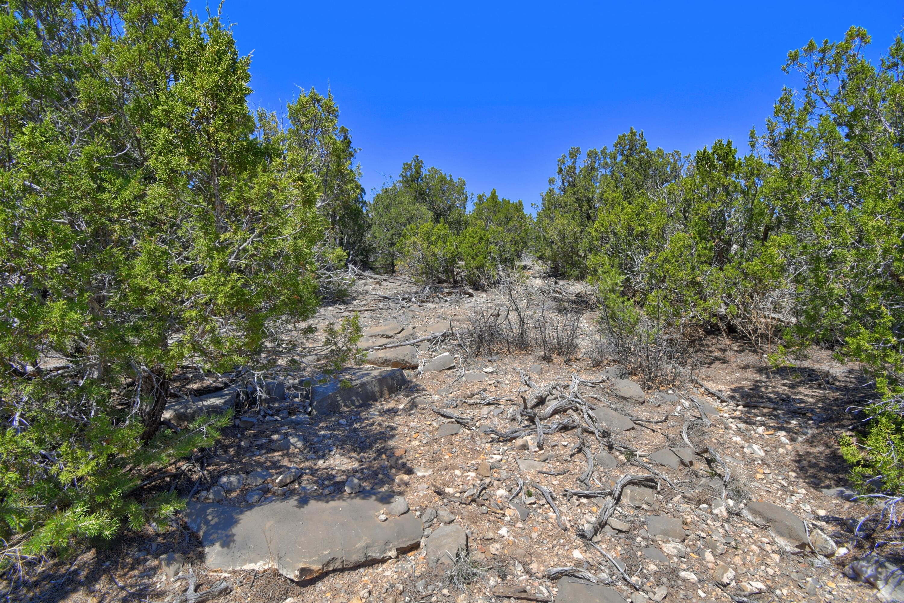 Lot 79 San Pedro Creek Estates, Sandia Park, New Mexico image 21