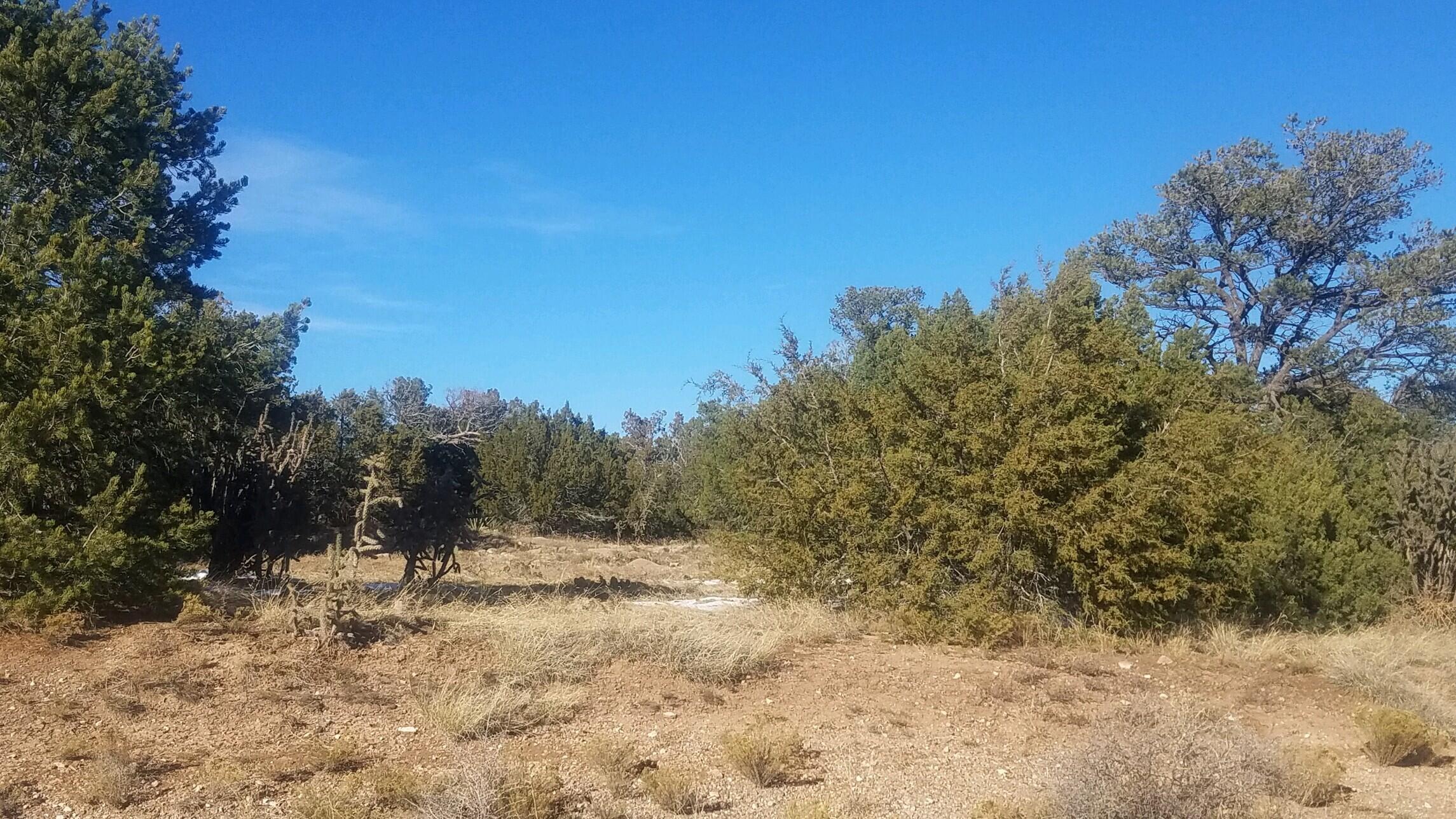 19 Walker Road, Edgewood, New Mexico image 3