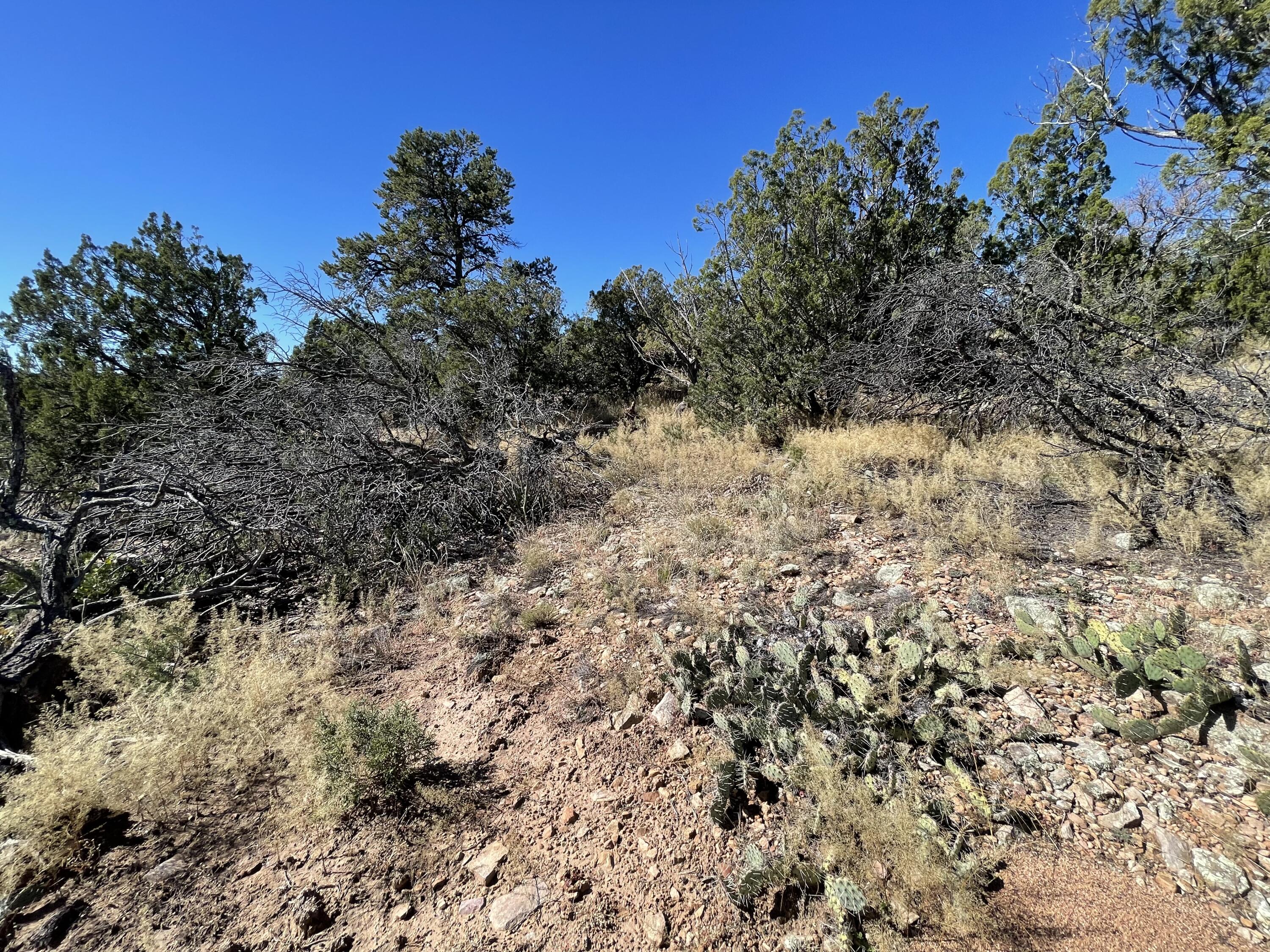 Photo 11 of 19 of 19 Chaco Loop land