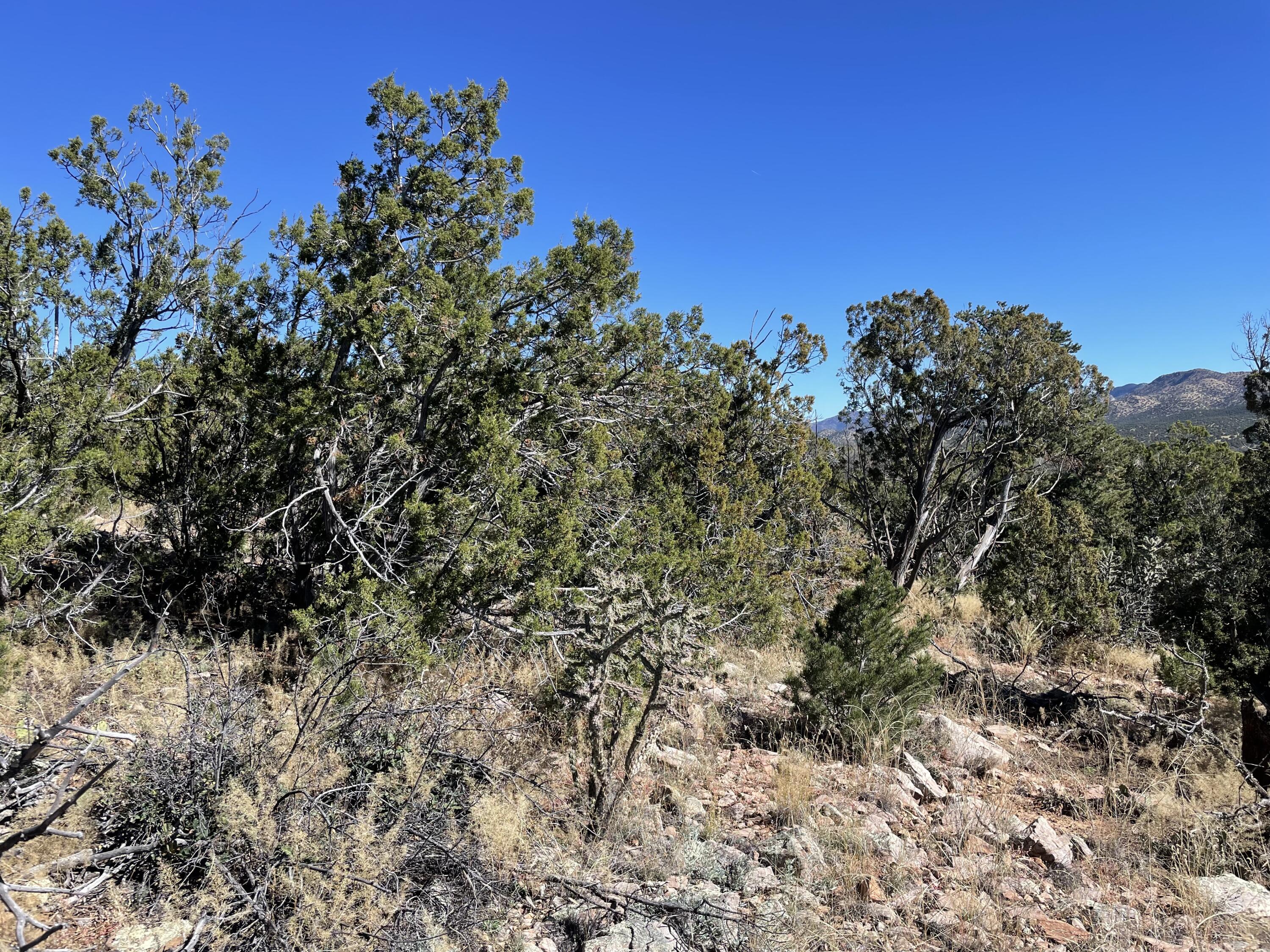 Photo 15 of 19 of 19 Chaco Loop land