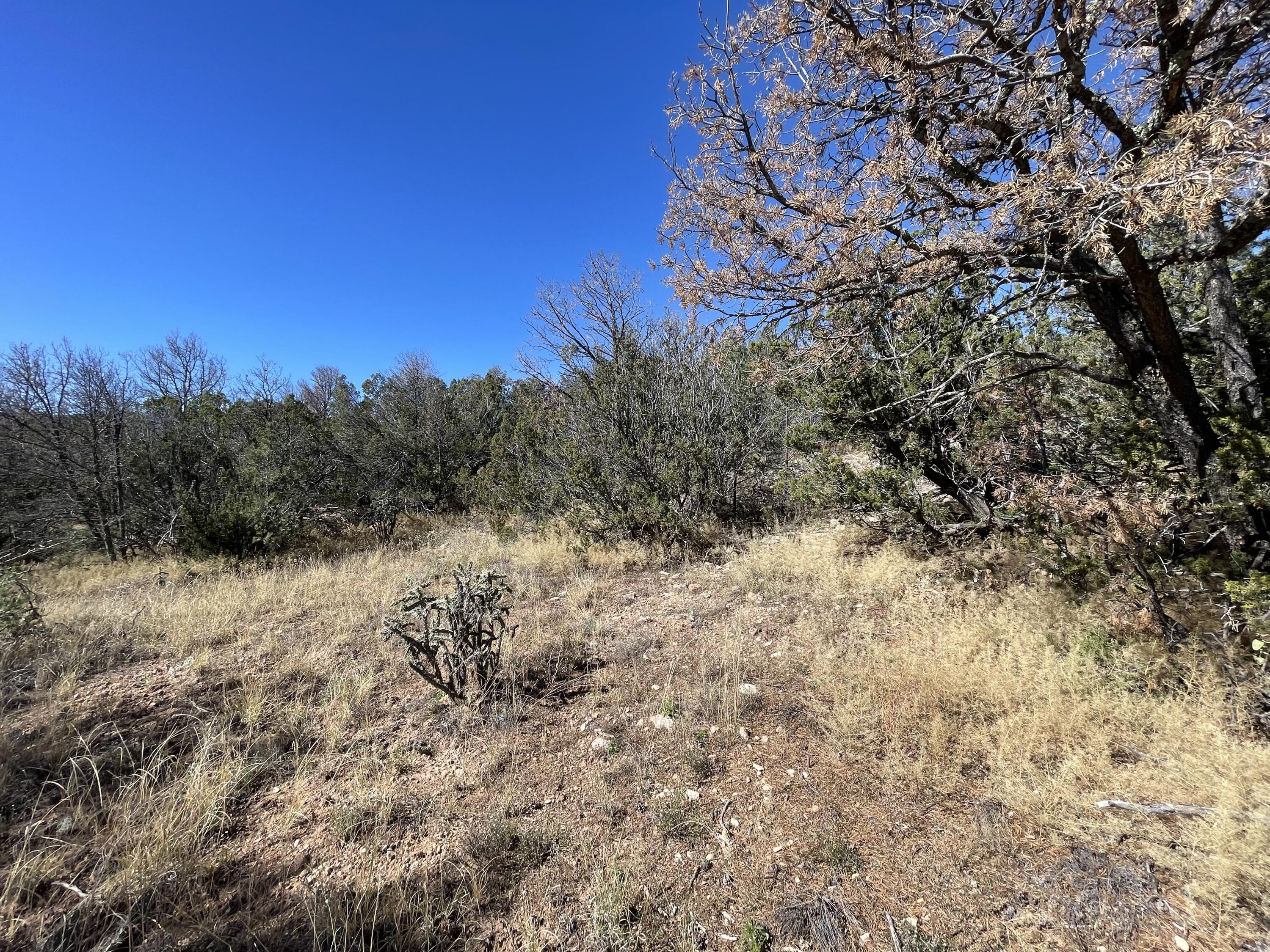 Photo 7 of 19 of 19 Chaco Loop land