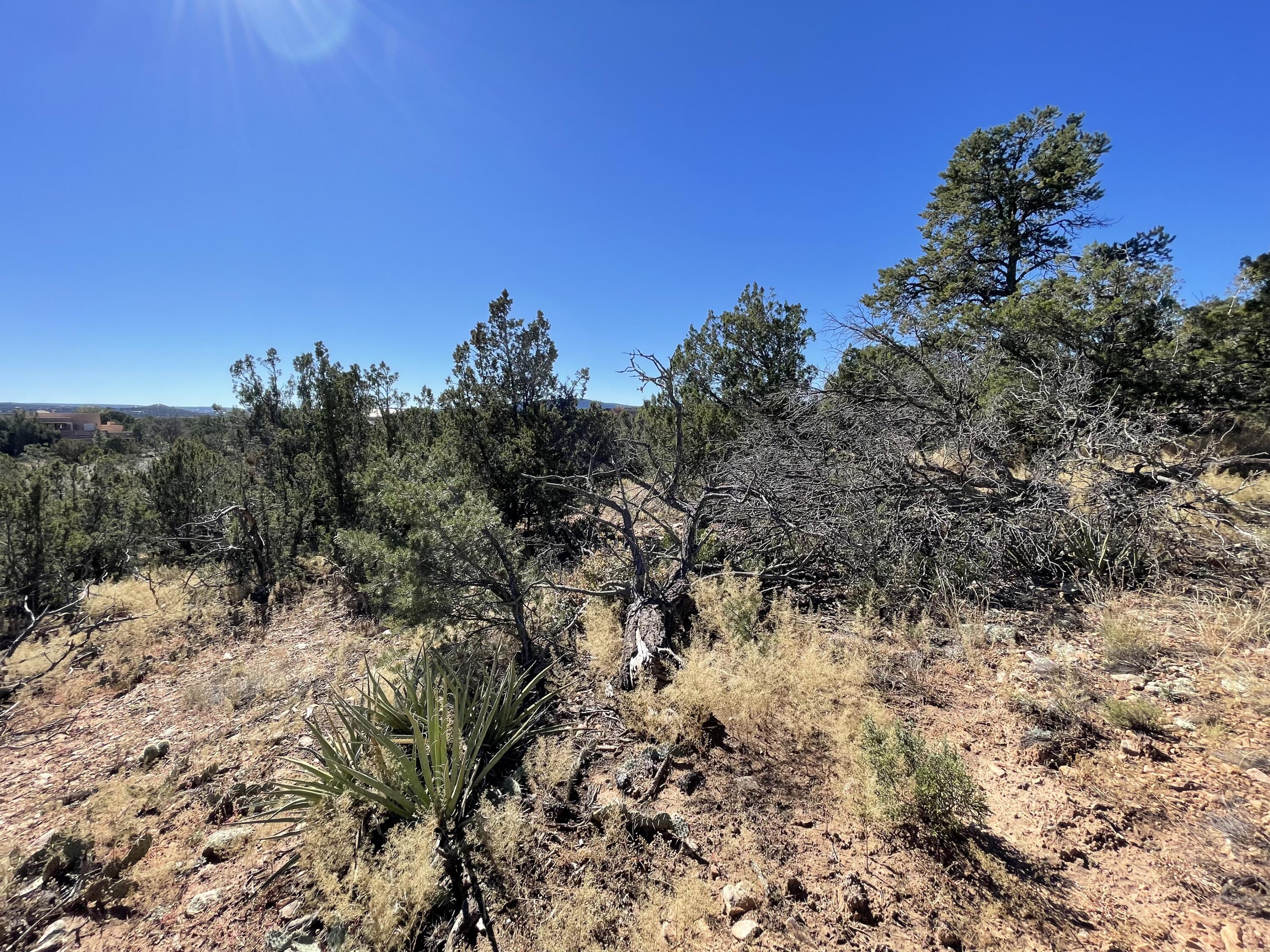 Photo 10 of 19 of 19 Chaco Loop land