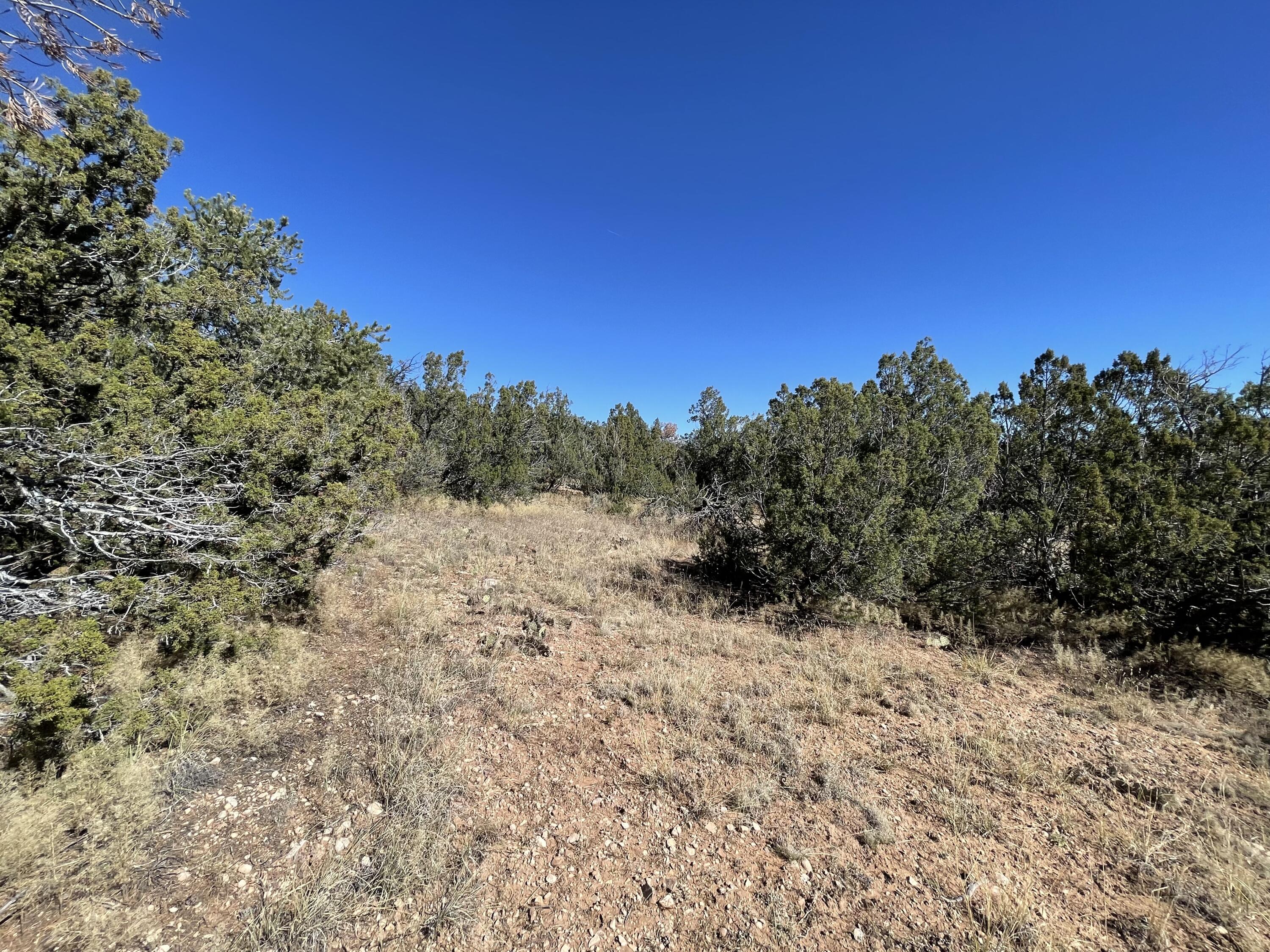 Photo 6 of 19 of 19 Chaco Loop land