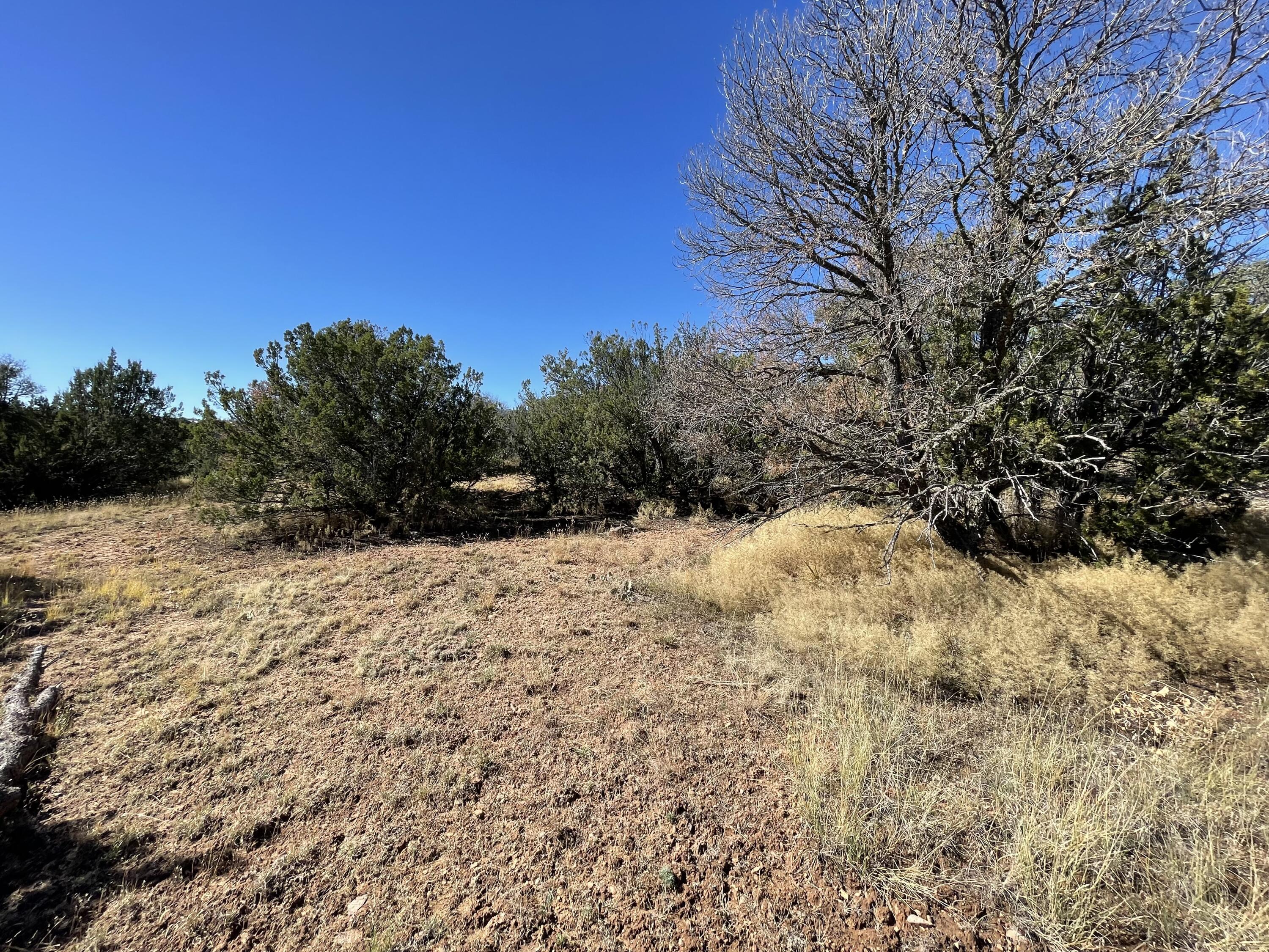 Photo 9 of 19 of 19 Chaco Loop land