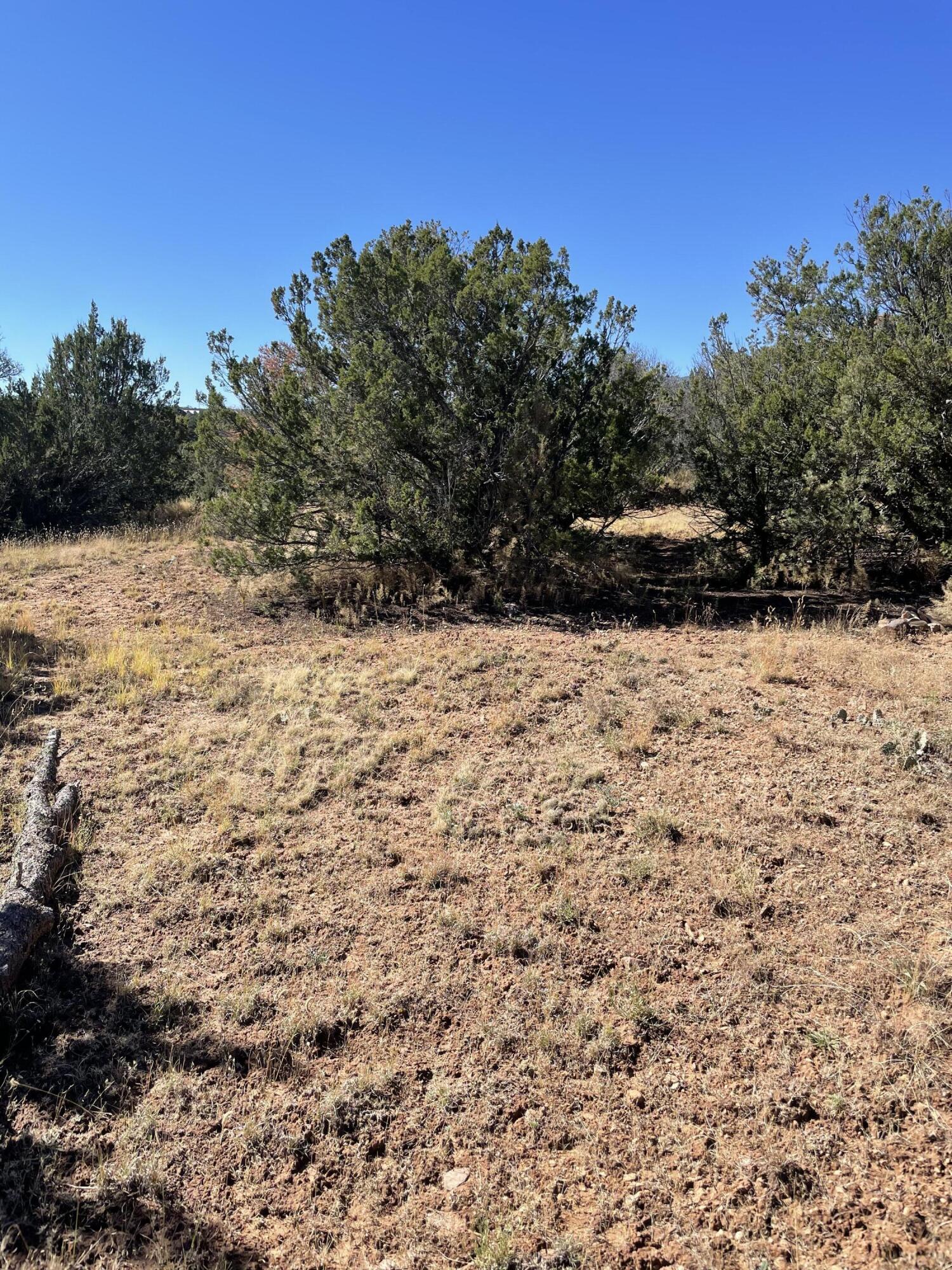 Photo 8 of 19 of 19 Chaco Loop land