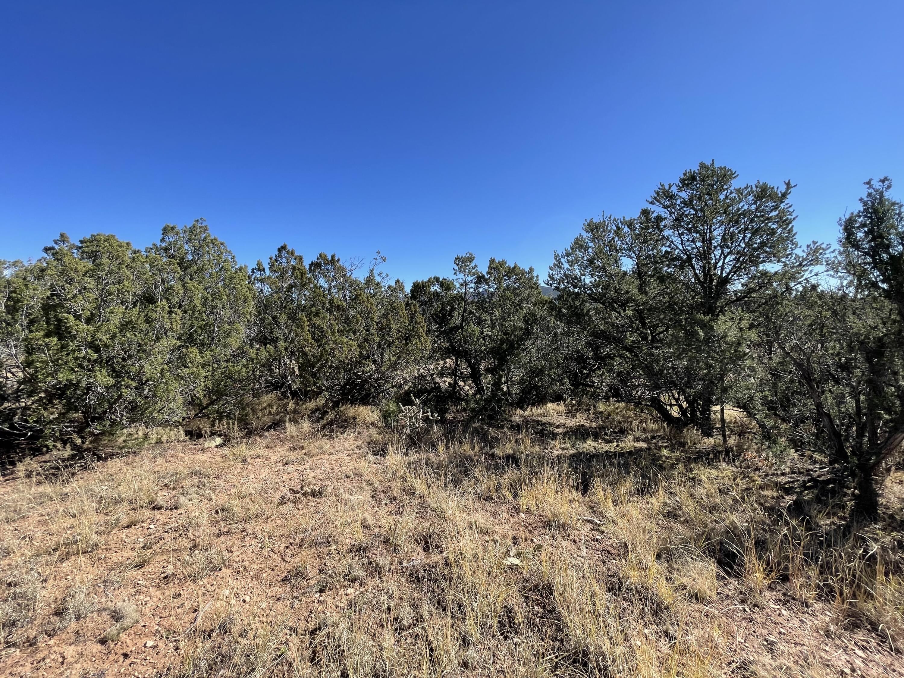 Photo 5 of 19 of 19 Chaco Loop land