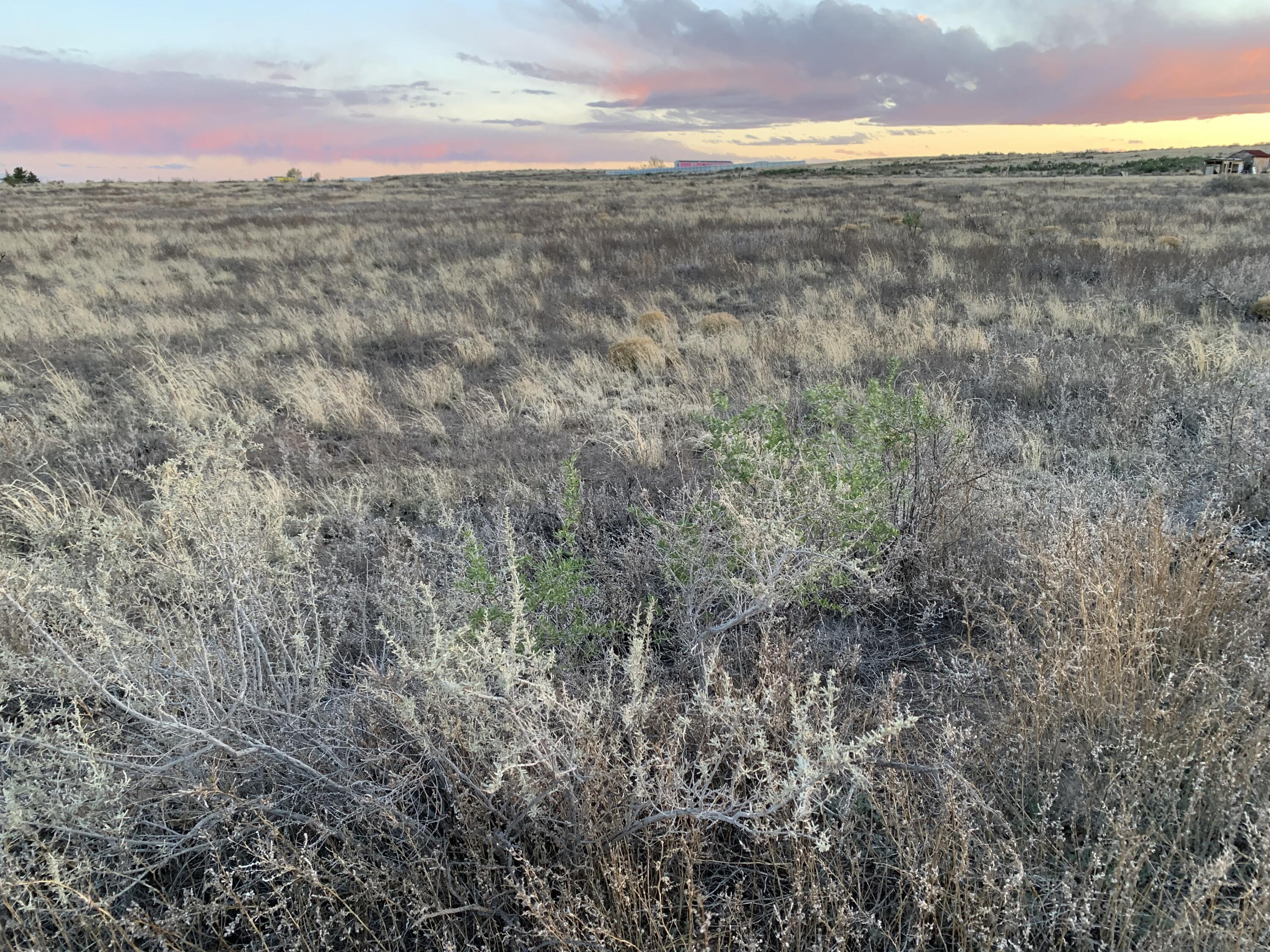 Esperanza - Lots 6-8 Avenue