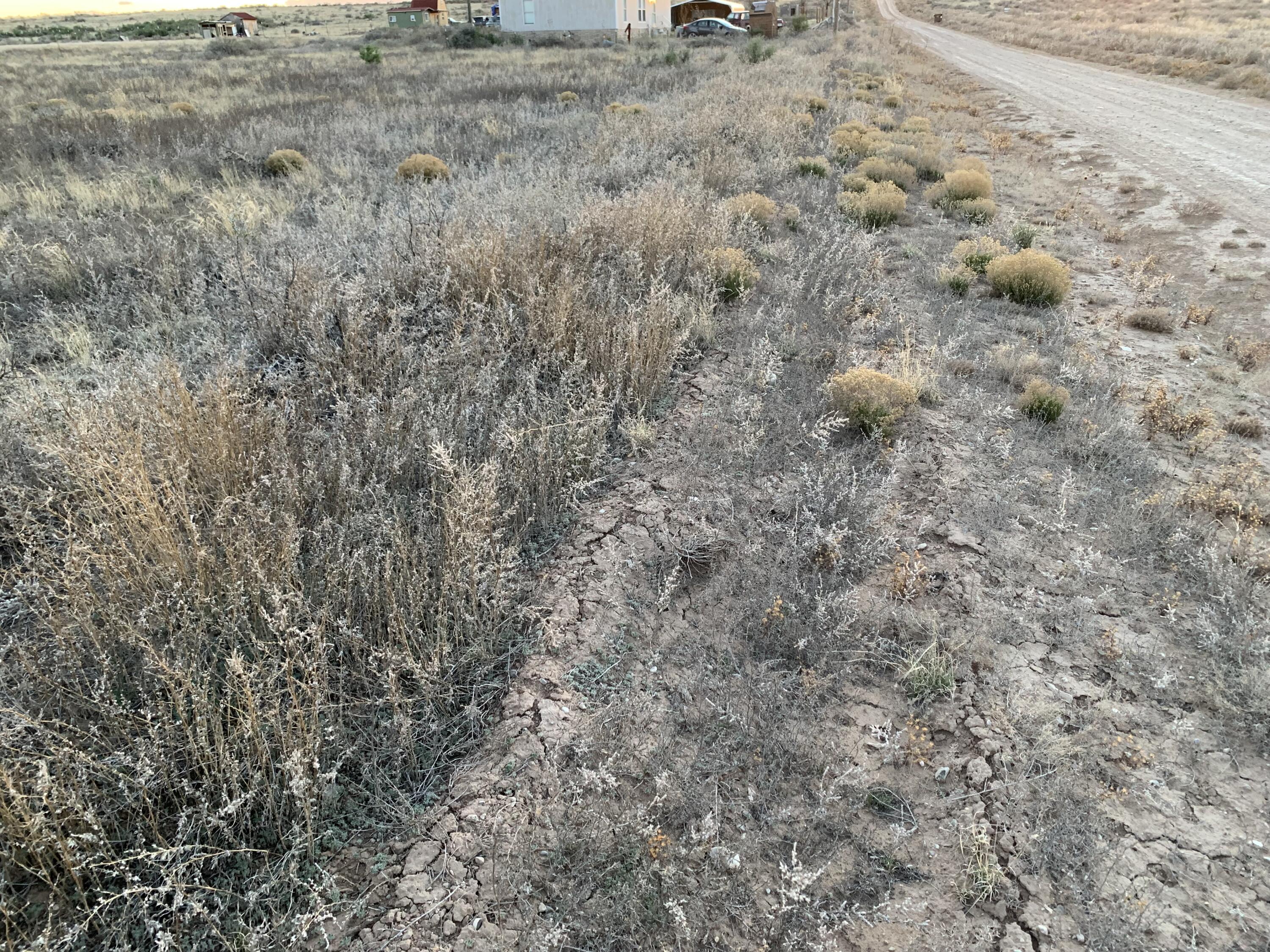 Esperanza - Lots 6-8 Avenue