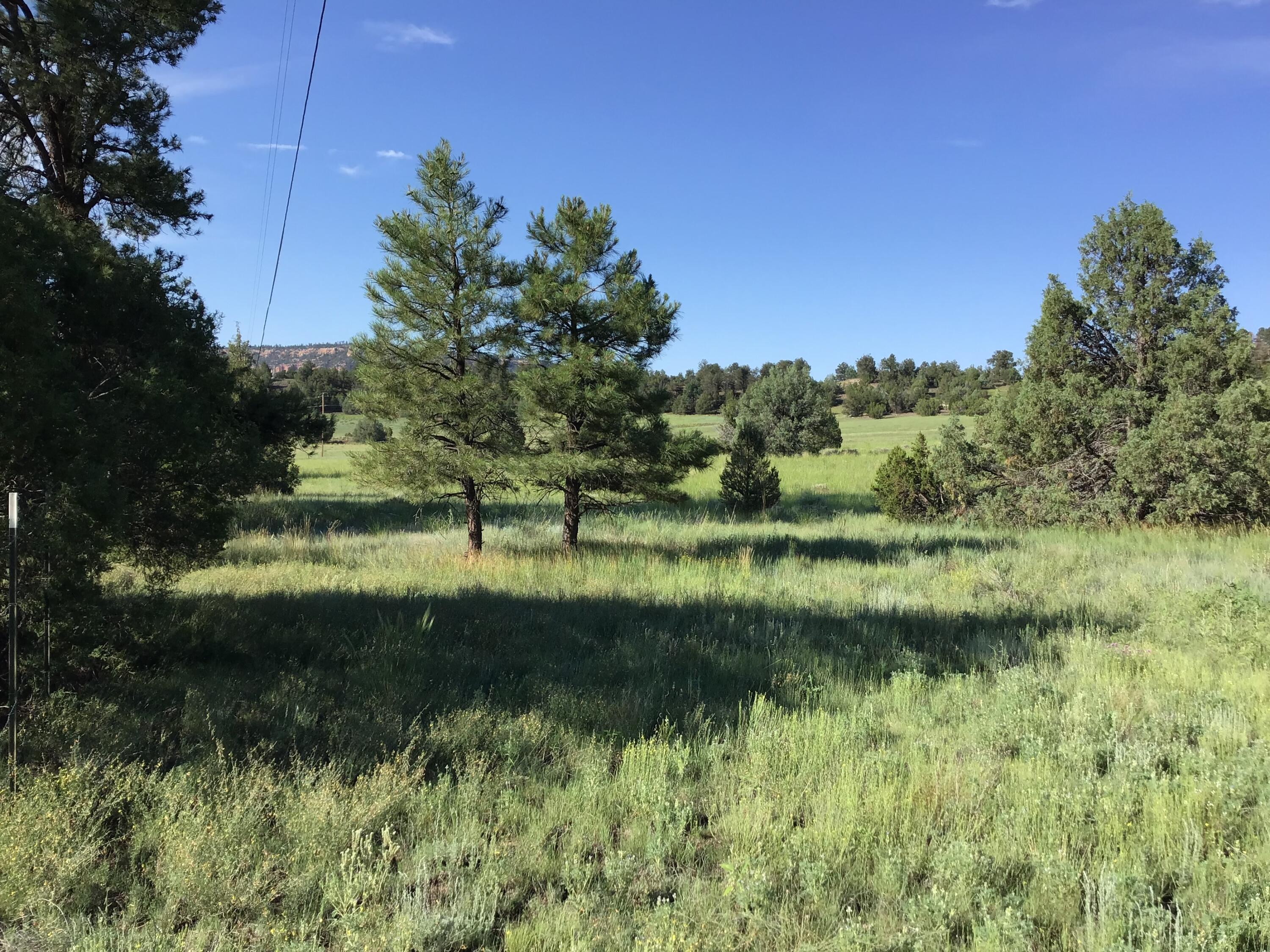 Lot 44 Sunflower Drive, Ramah, New Mexico image 1