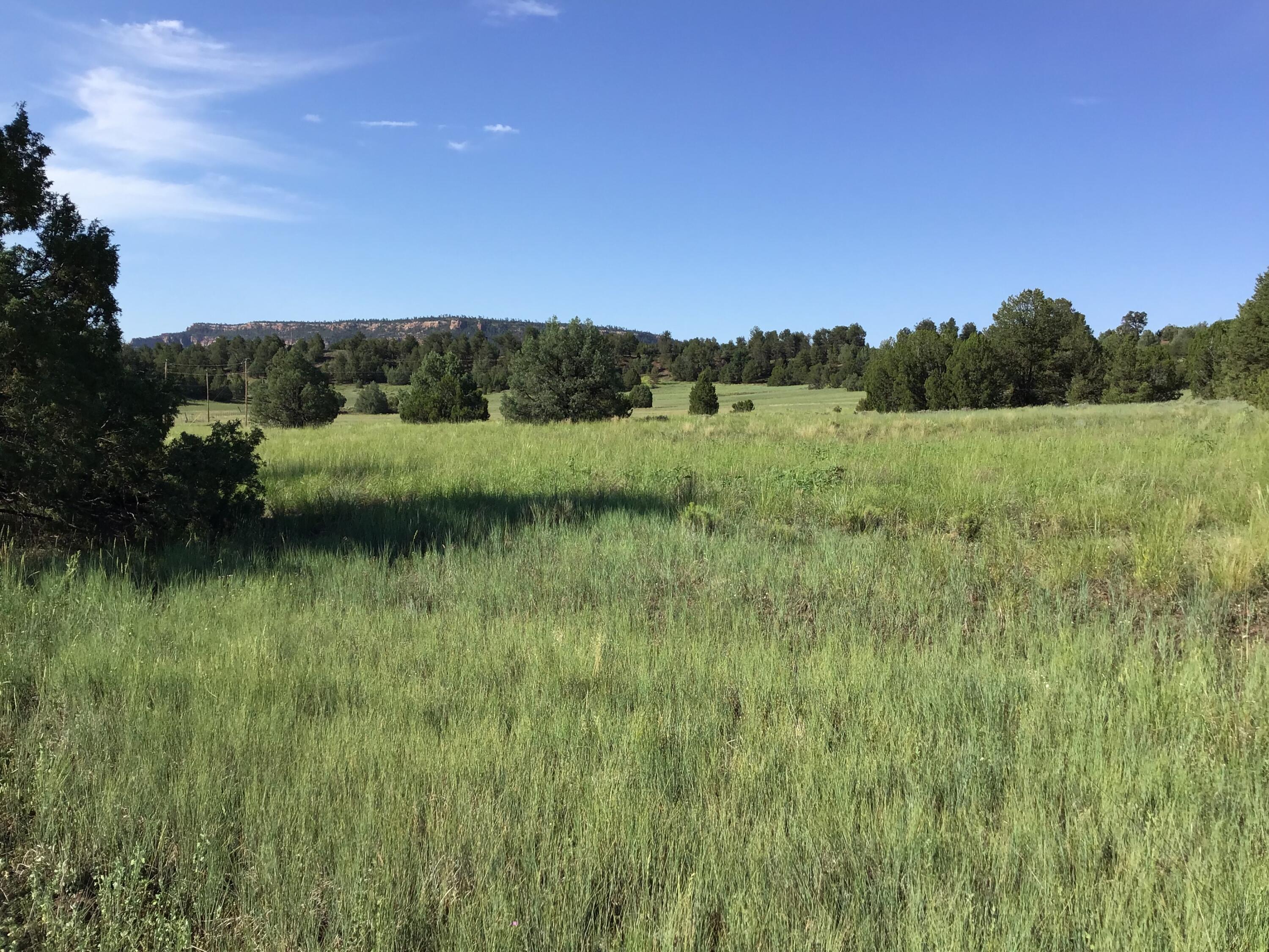 Lot 44 Sunflower Drive, Ramah, New Mexico image 3