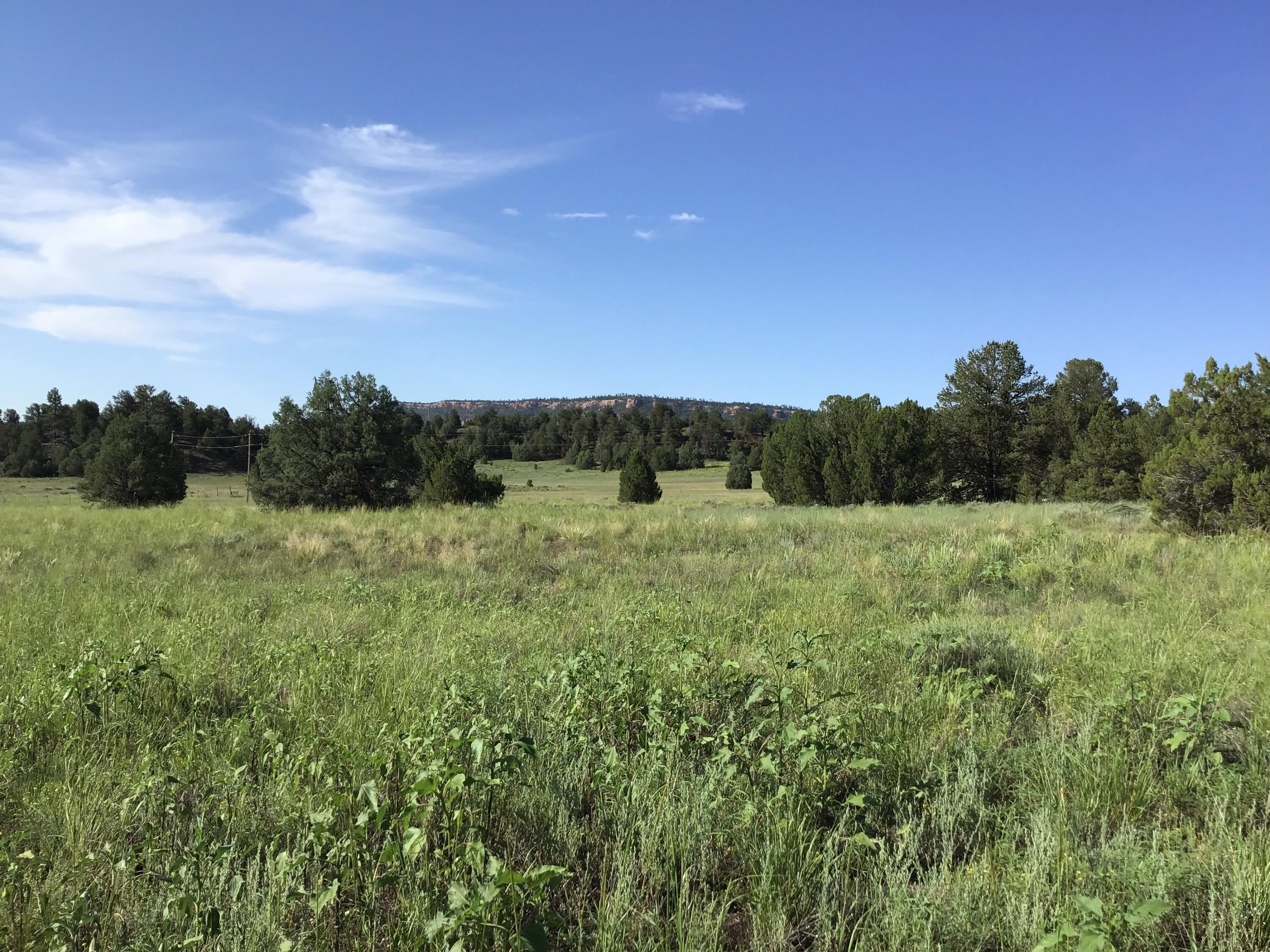 Lot 44 Sunflower Drive, Ramah, New Mexico image 4