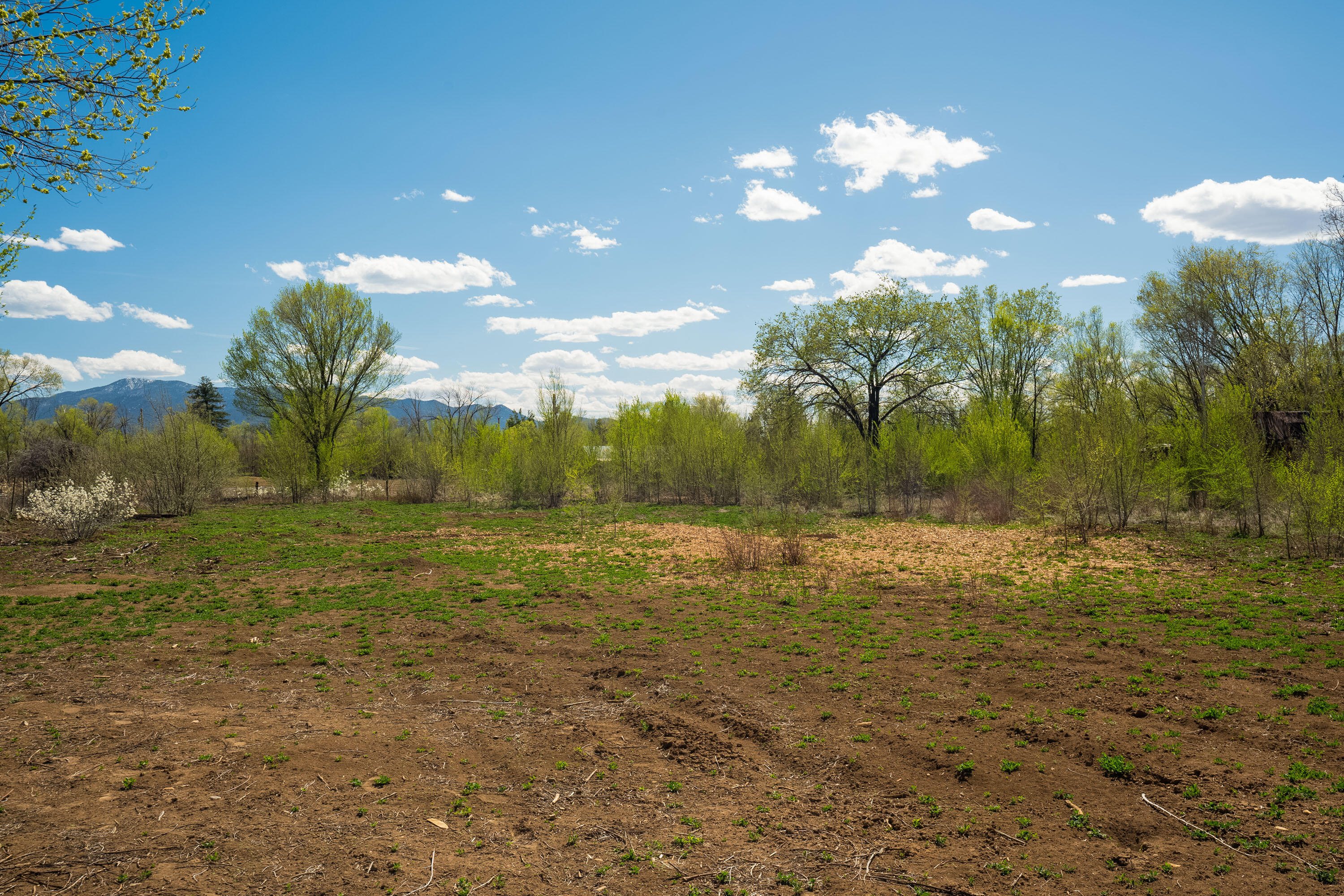 426 Gomez Ranch Road, Taos, New Mexico image 1