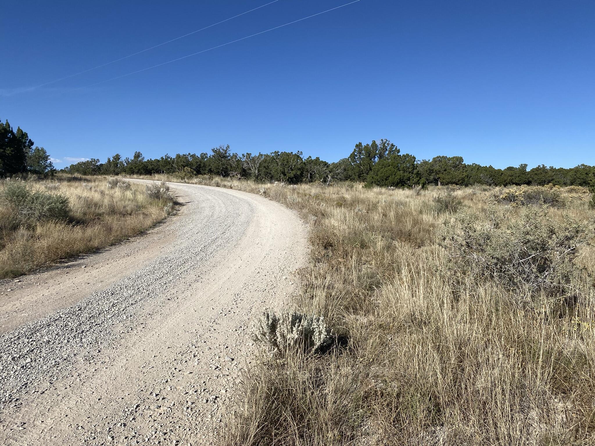 Painted Horse Drive, Mountainair, New Mexico image 4